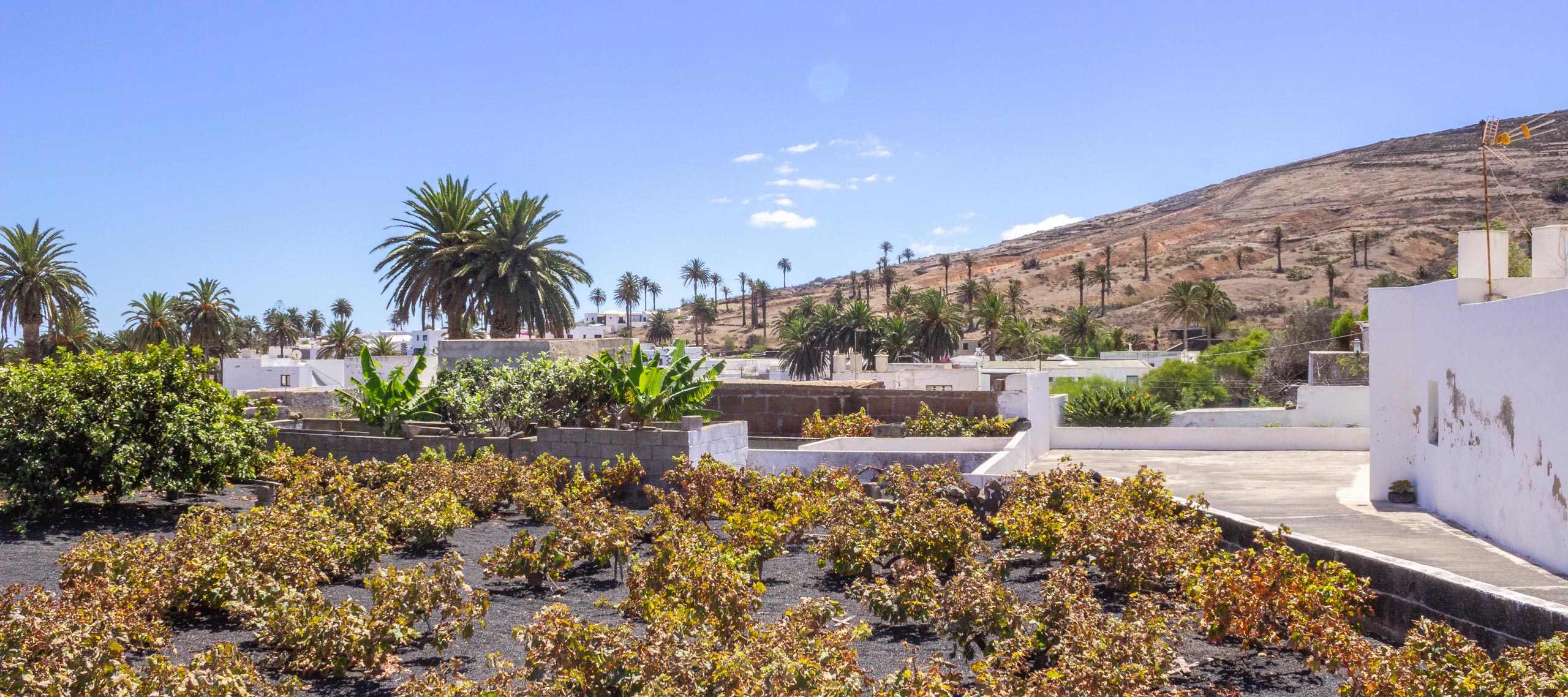 2015 09 Lanzarote Haria 007