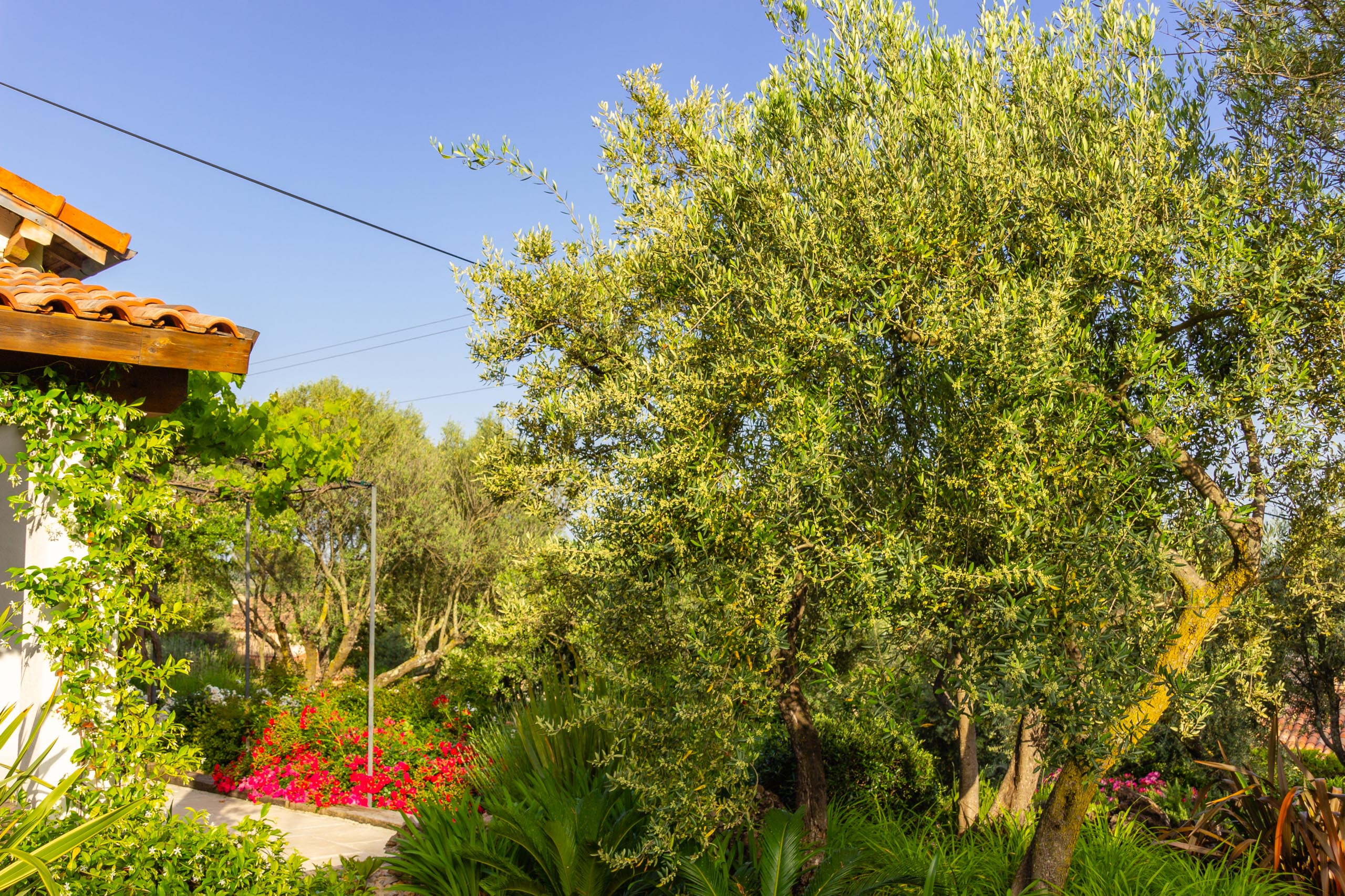 2018 05 Provence Garden 1 005