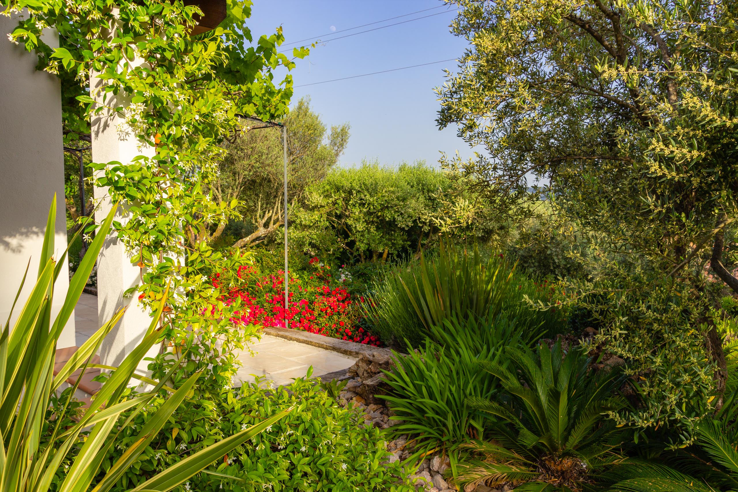 2018 05 Provence Garden 1 008