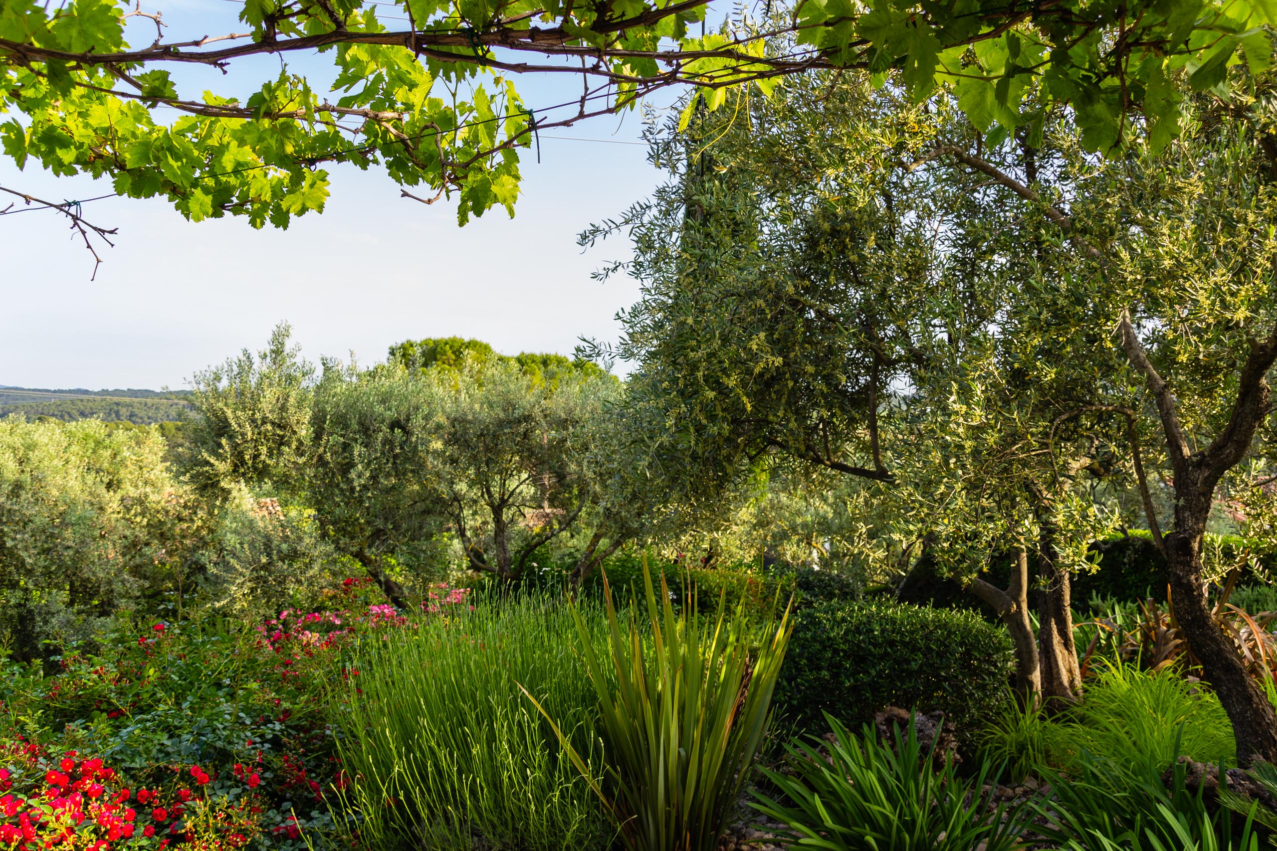 2018 05 Provence Garden 1 009