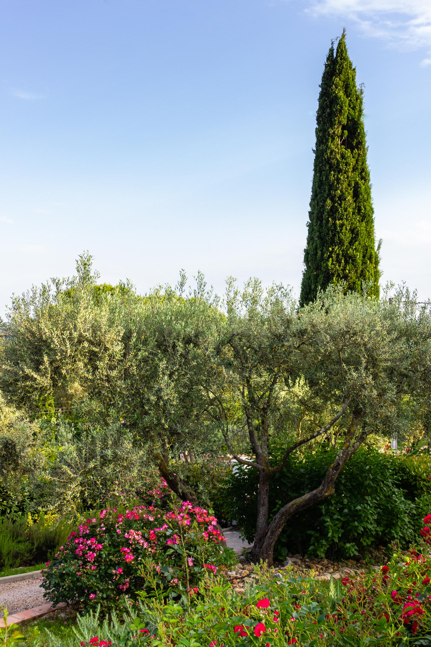 2018 05 Provence Garden 1 011