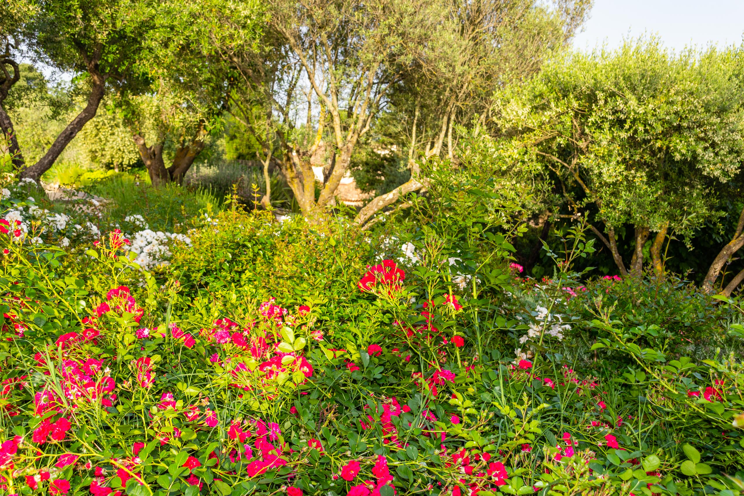 2018 05 Provence Garden 1 012