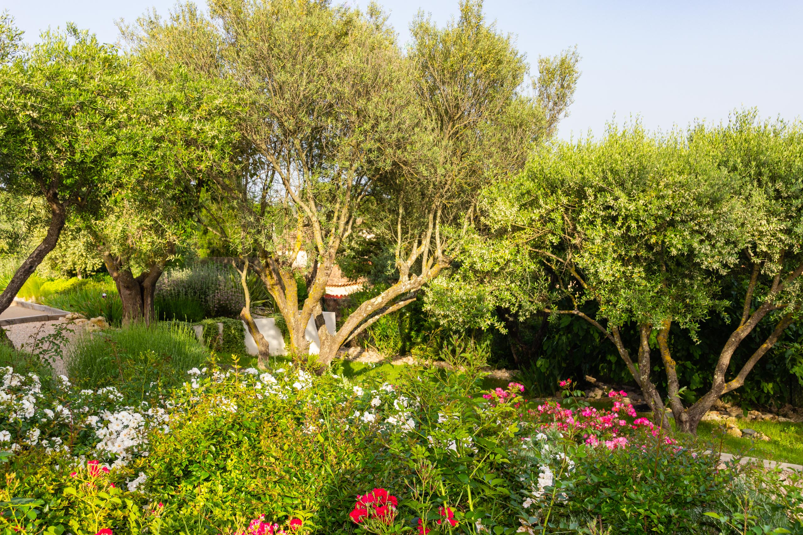 2018 05 Provence Garden 1 013