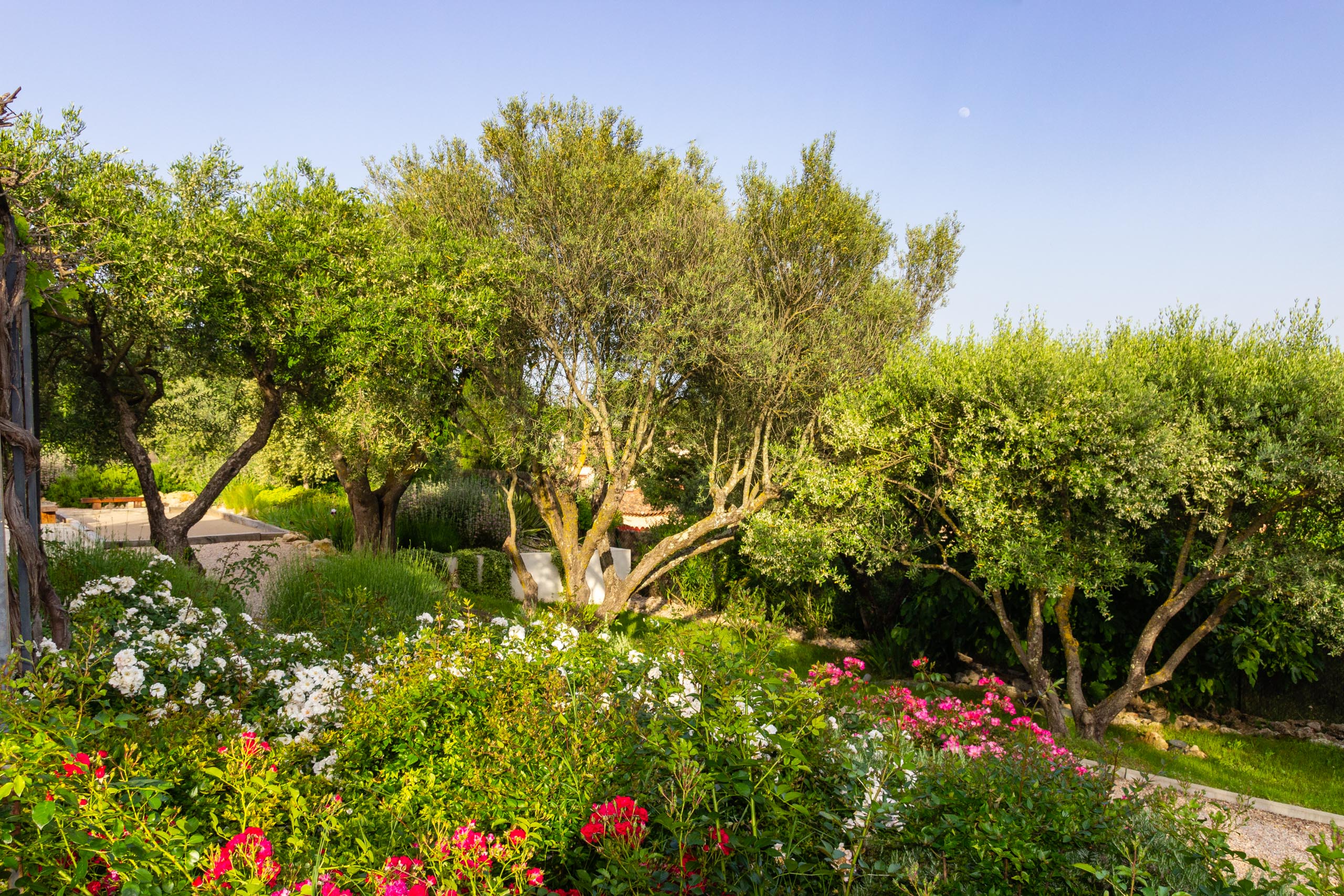 2018 05 Provence Garden 1 014