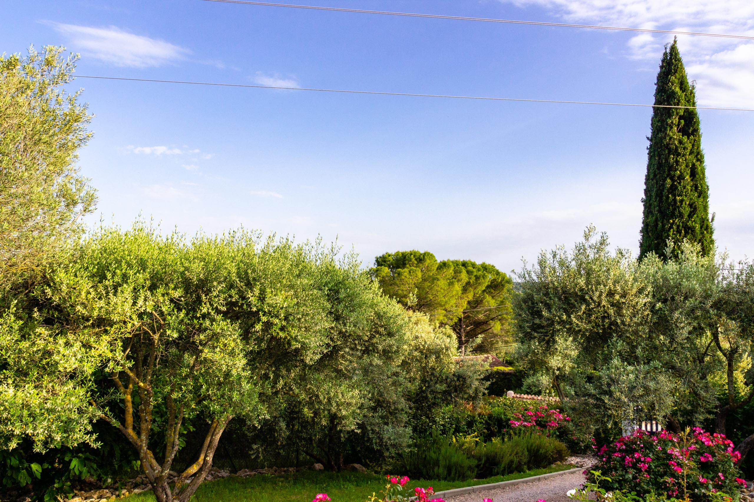 2018 05 Provence Garden 1 017