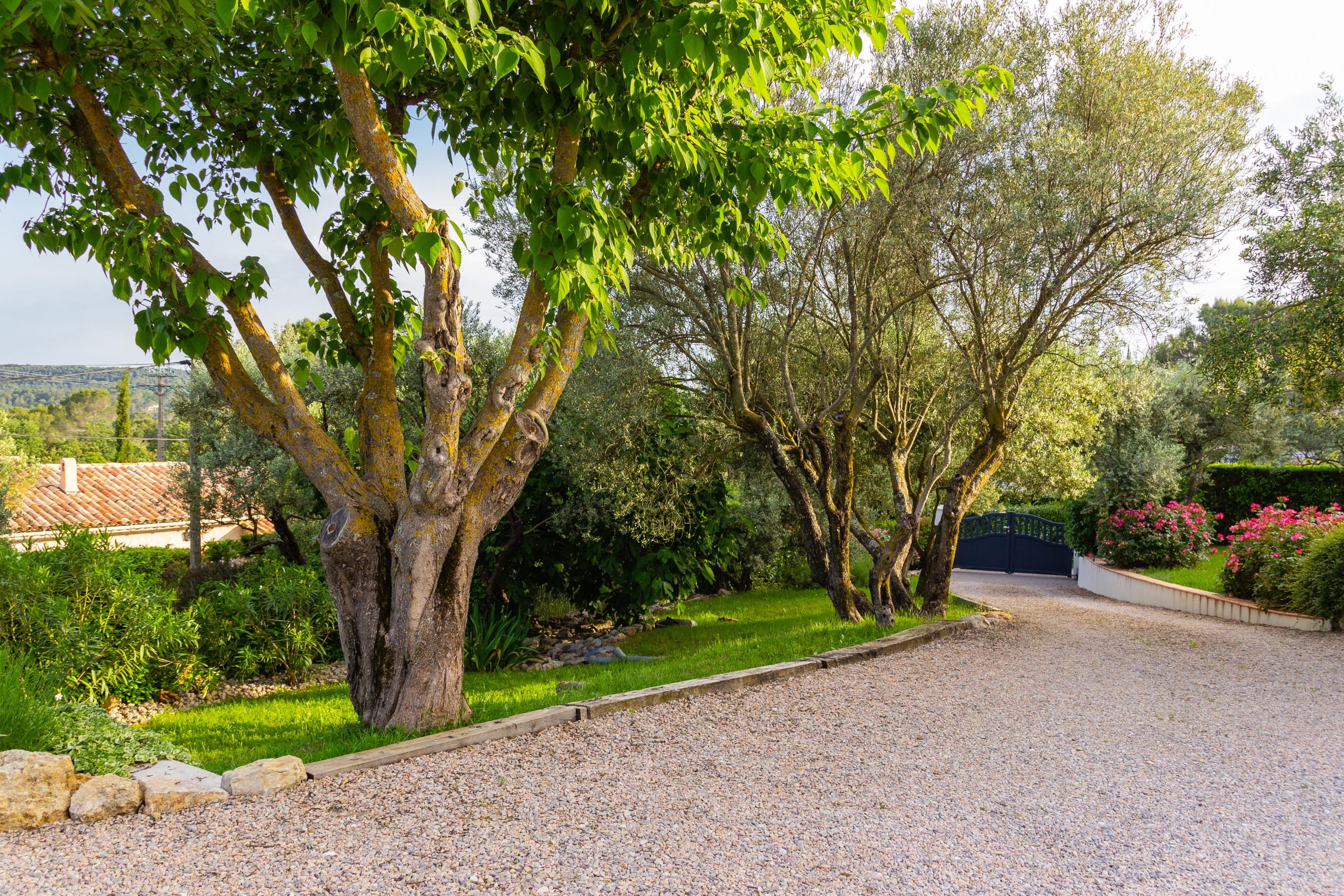 2018 05 Provence Garden 1 023