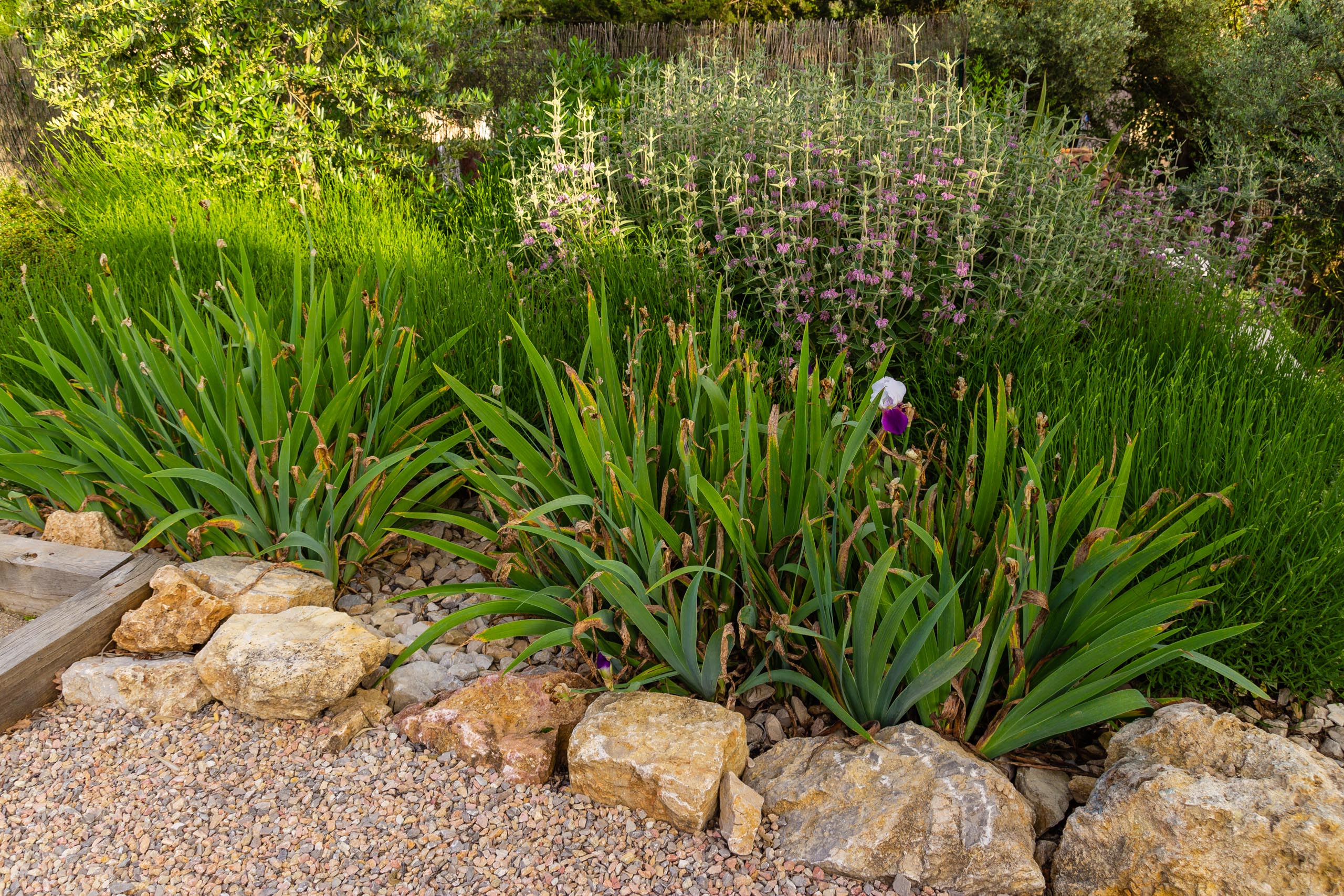 2018 05 Provence Garden 2 004