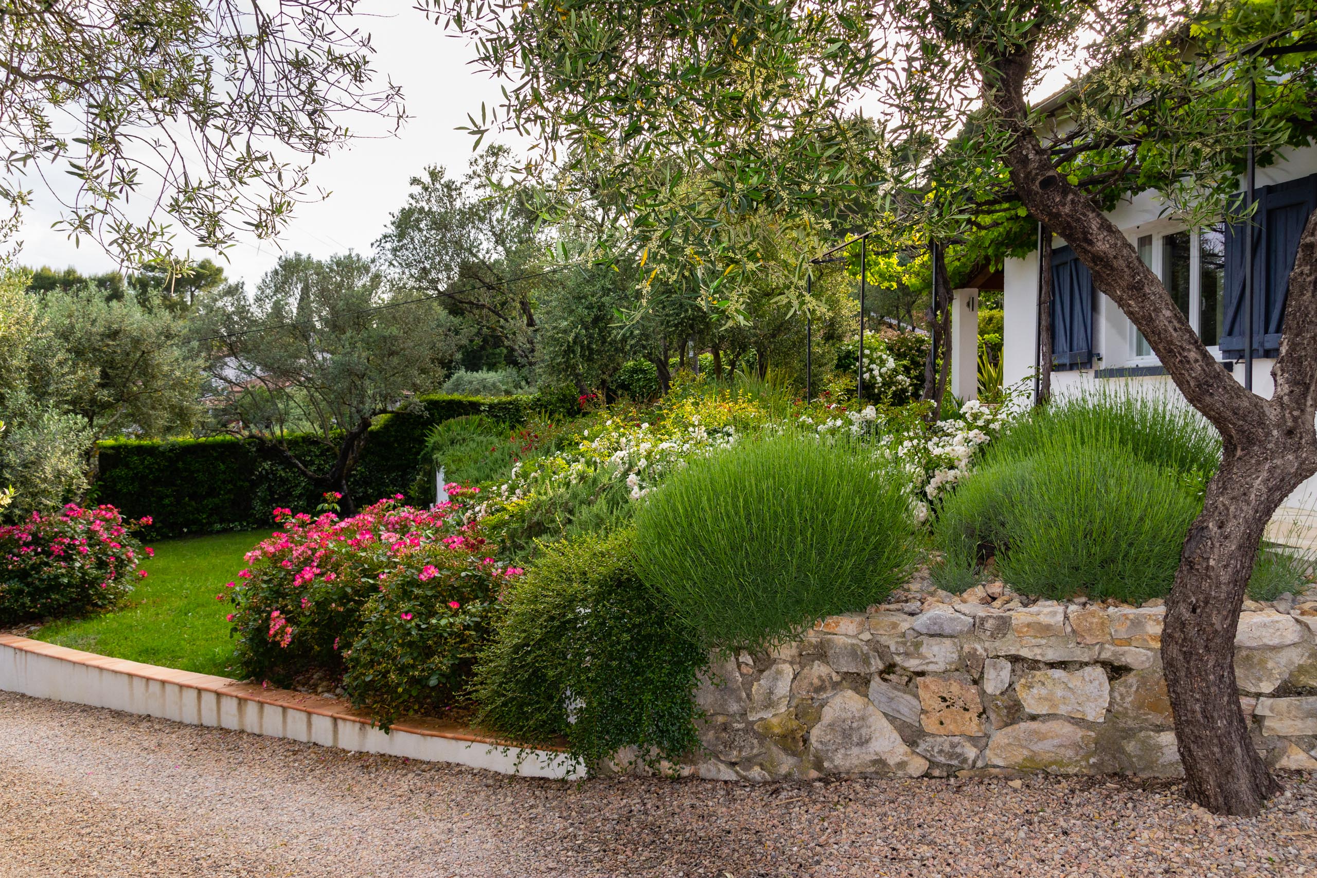 2018 05 Provence Garden 2 005