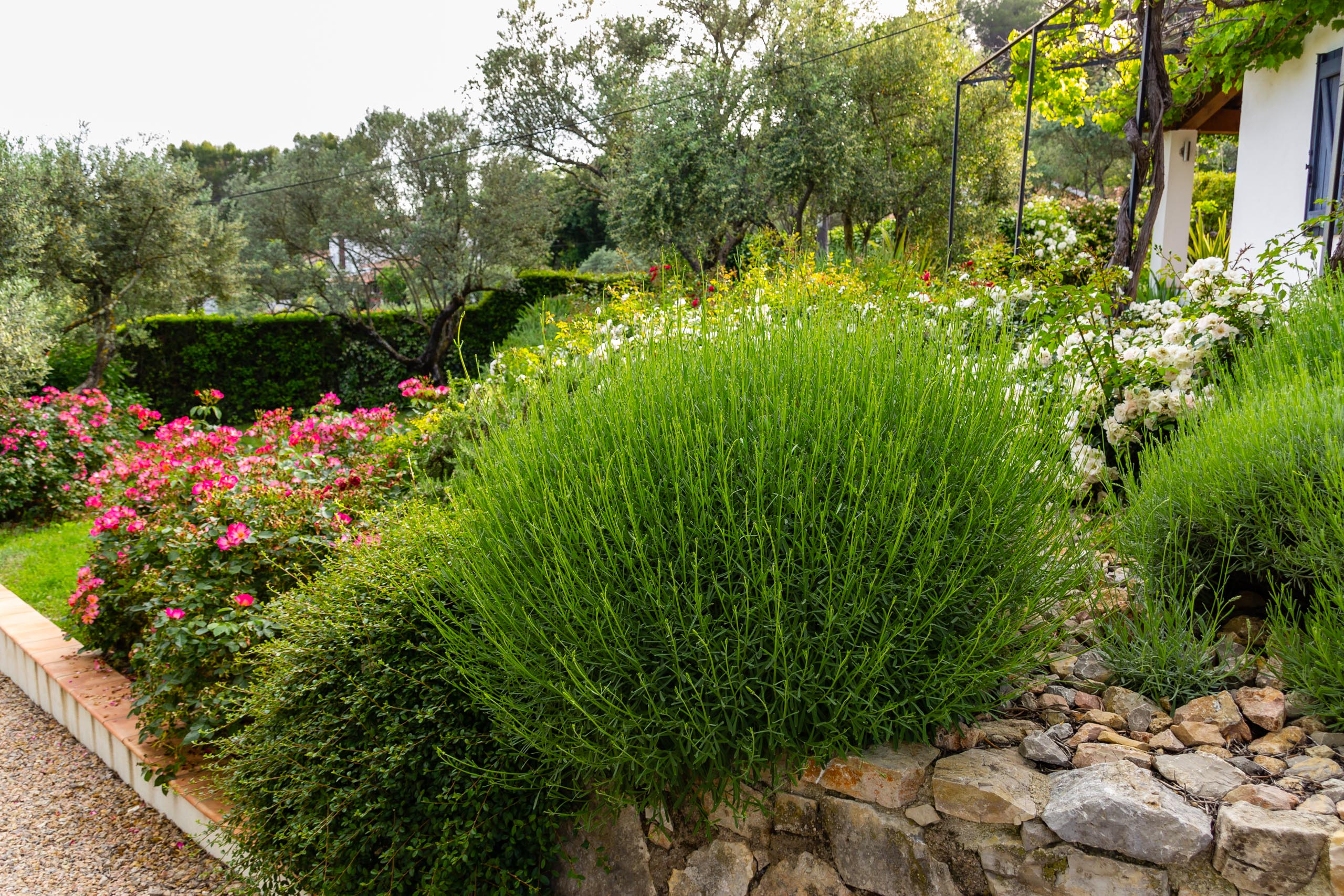 2018 05 Provence Garden 2 006