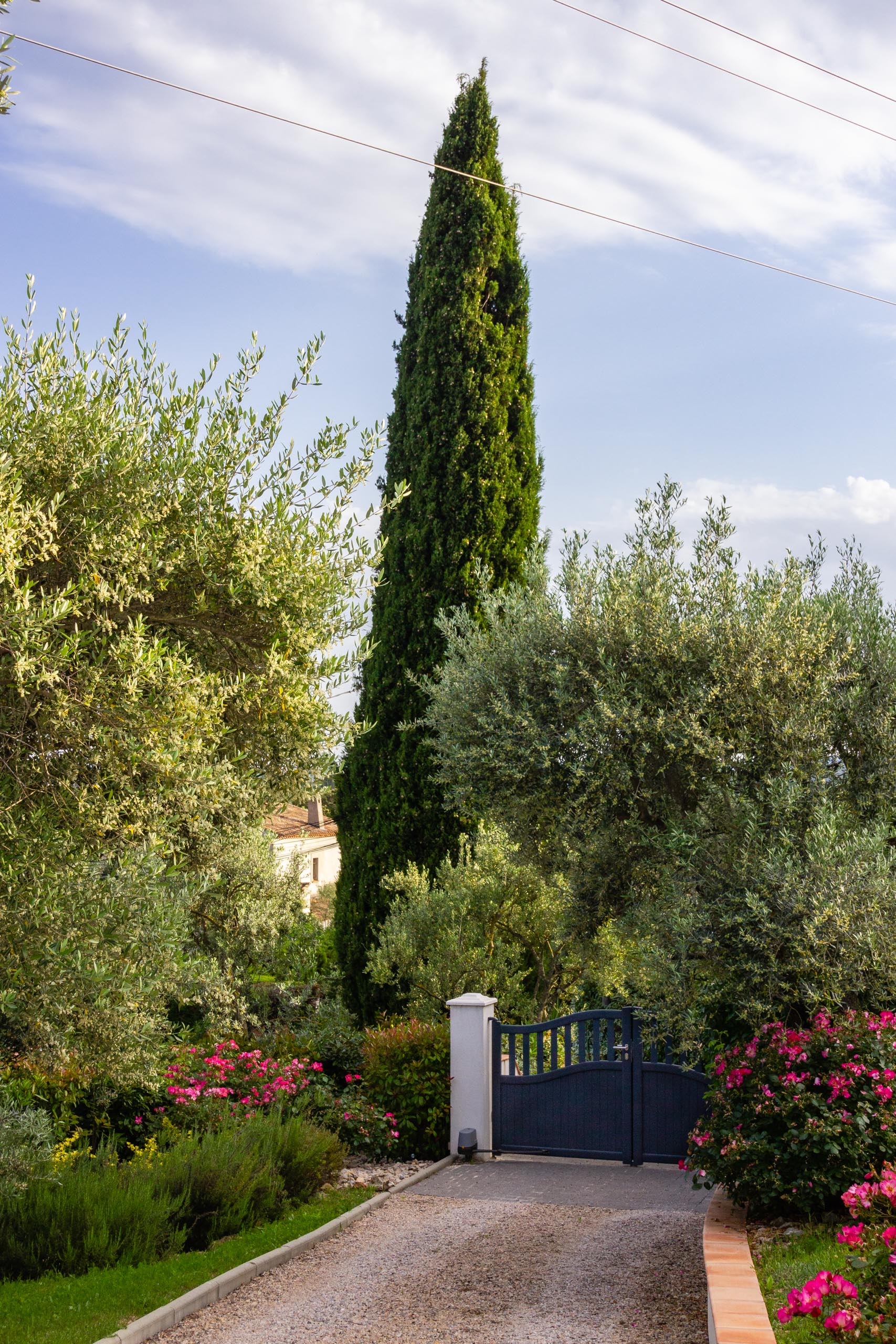 2018 05 Provence Garden 2 008