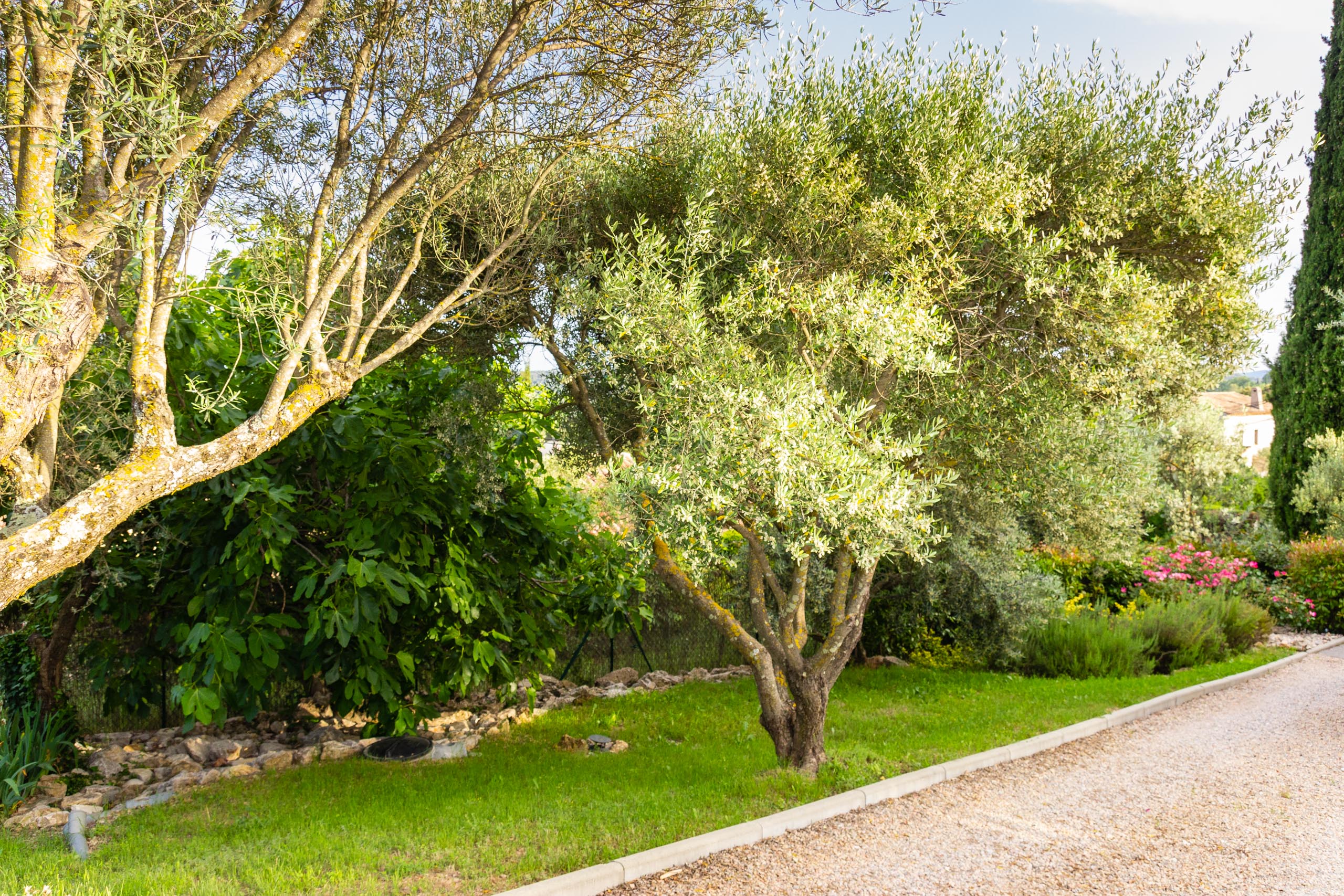 2018 05 Provence Garden 2 009