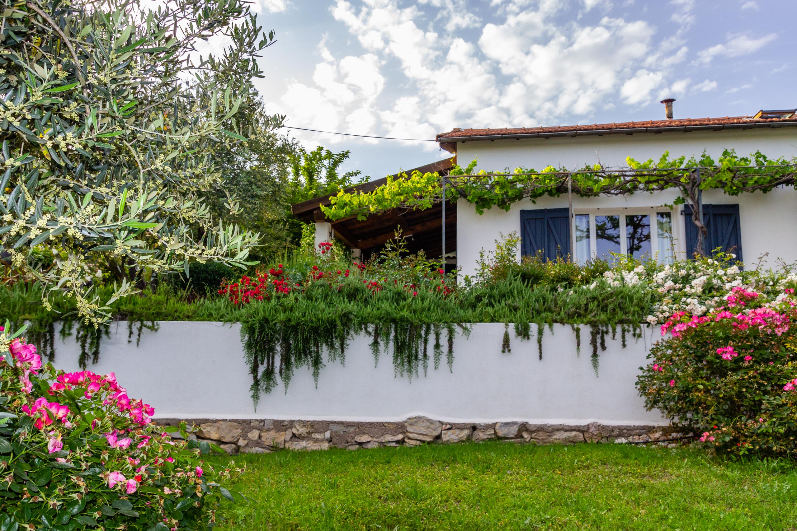 2018 05 Provence Garden 2 012