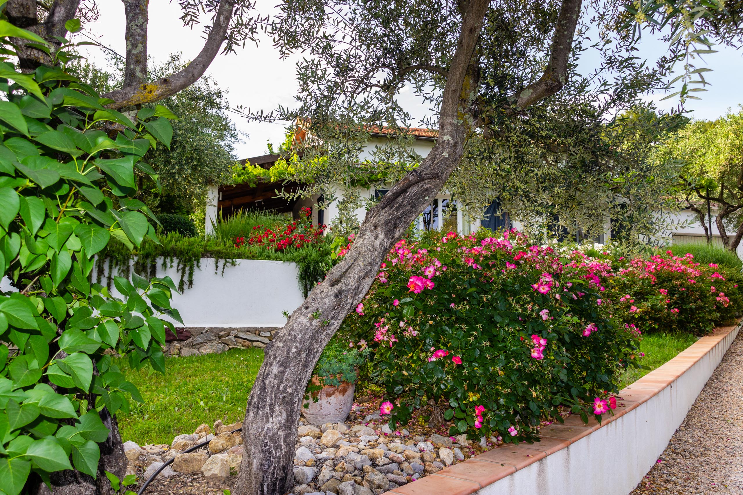 2018 05 Provence Garden 2 013