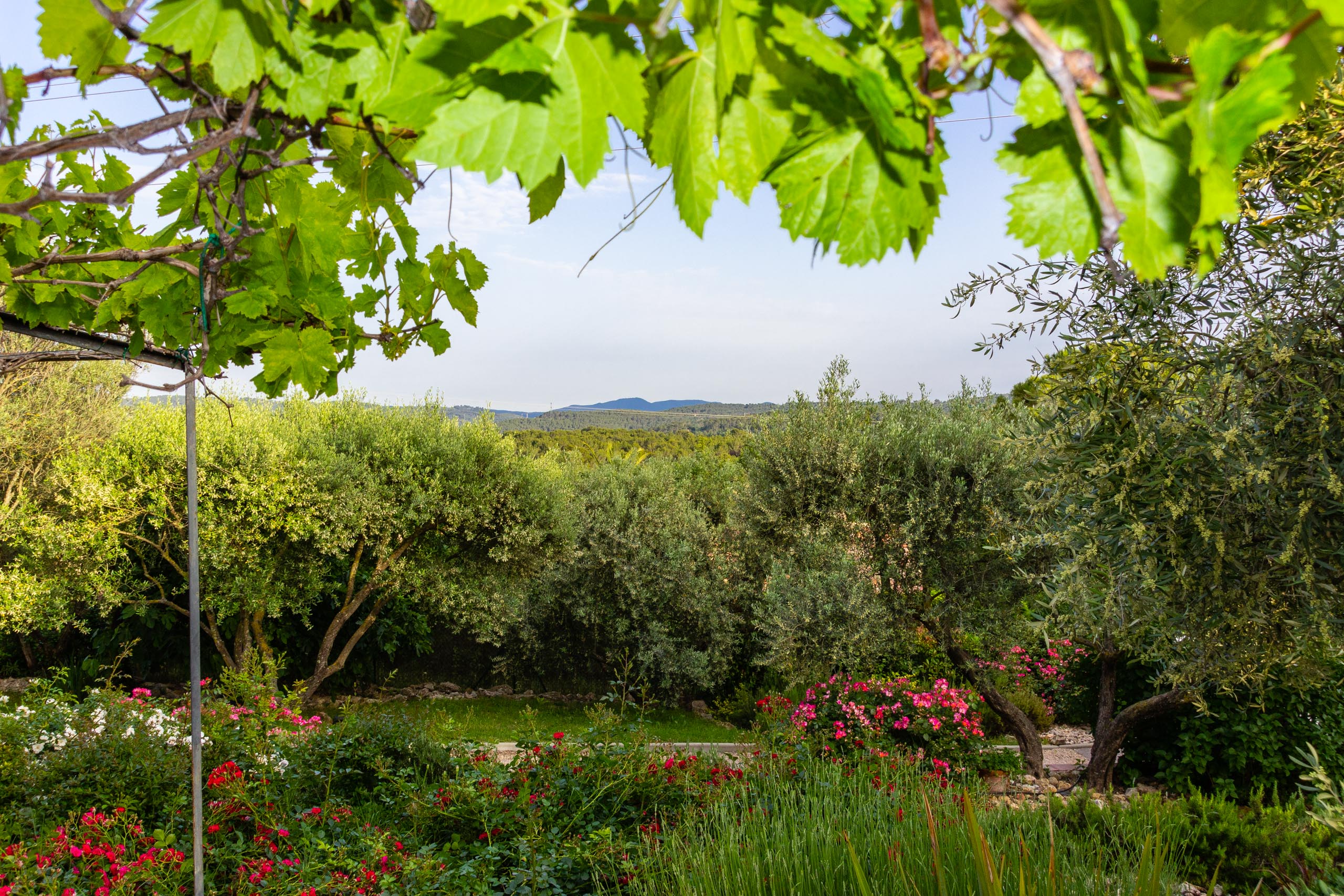 2018 05 Provence Garden 2 019