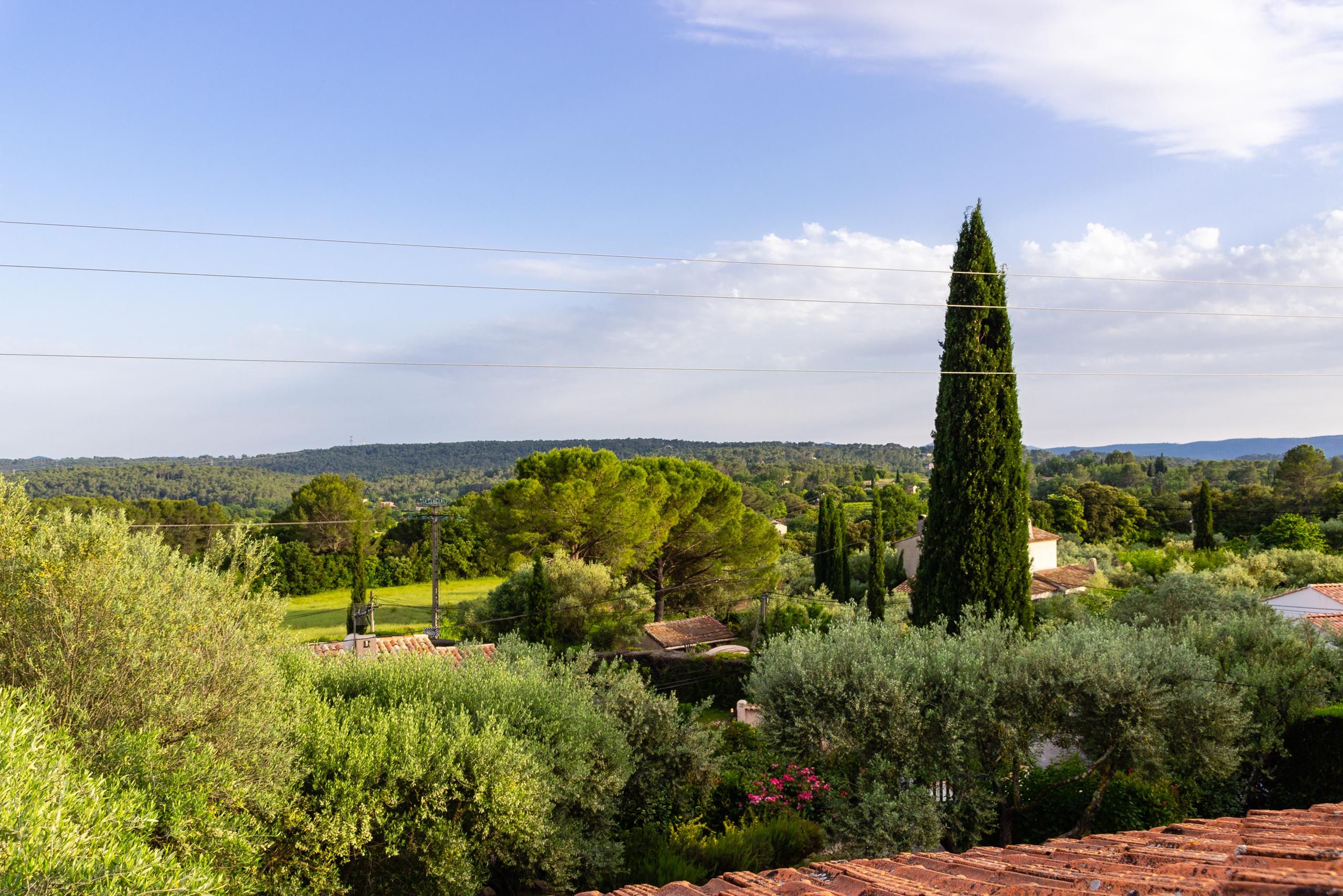 2018 05 Provence Garden 2 021