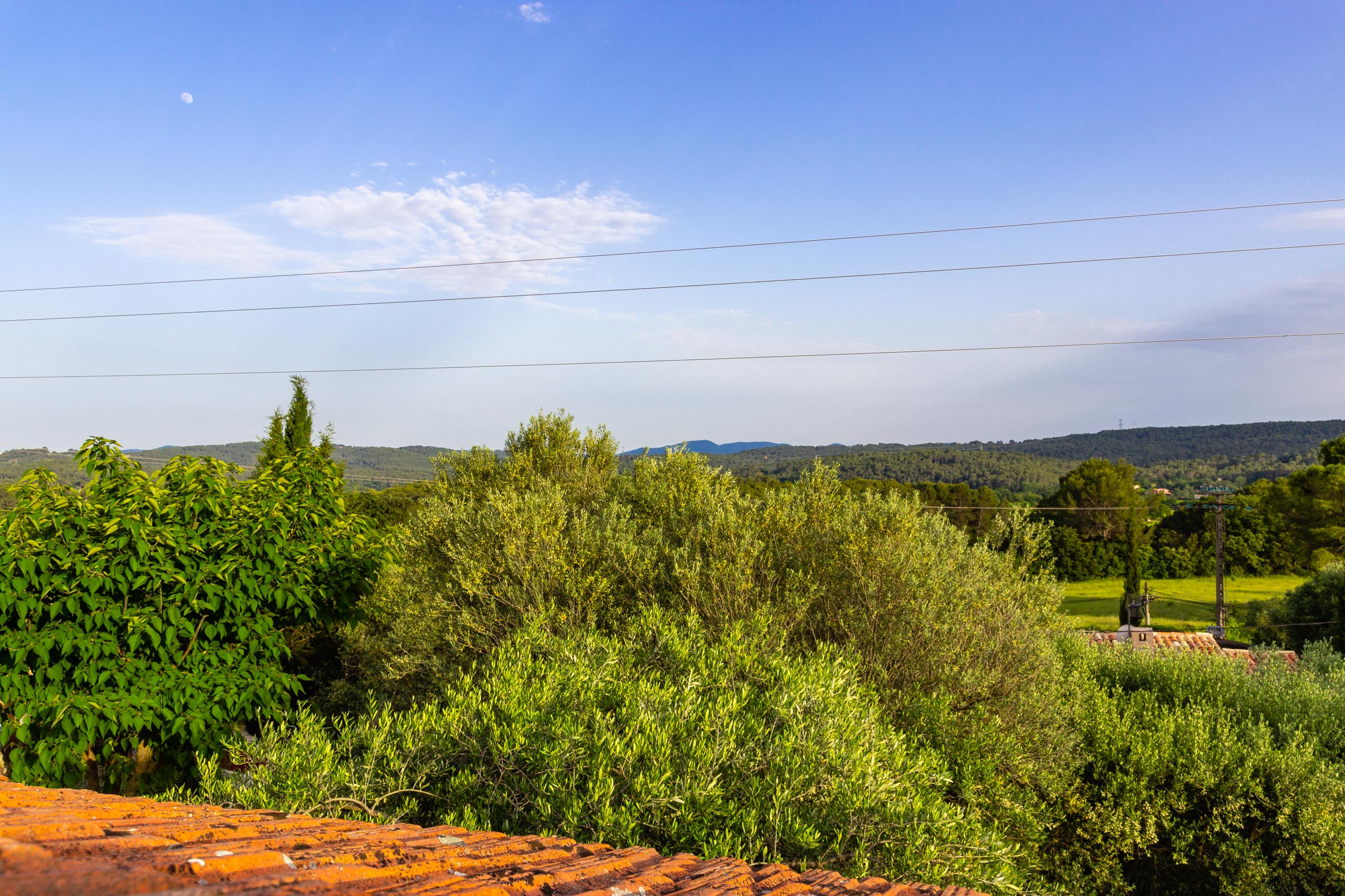 2018 05 Provence Garden 2 022