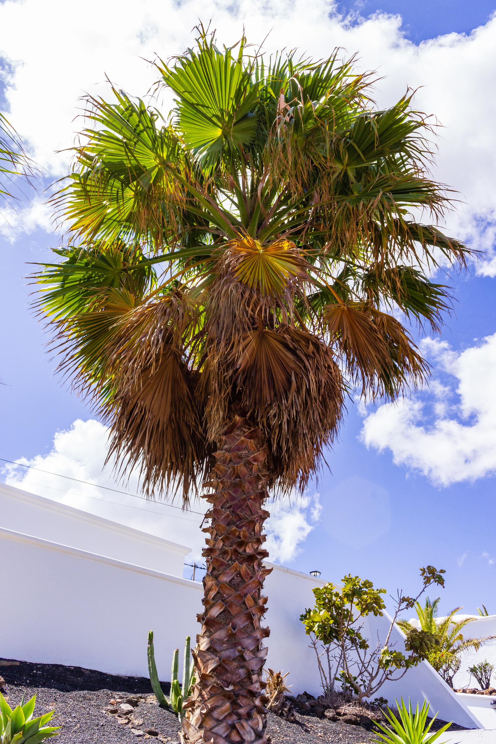 2018 08 Lanzarote AWalkRoundTabayesco 2 020