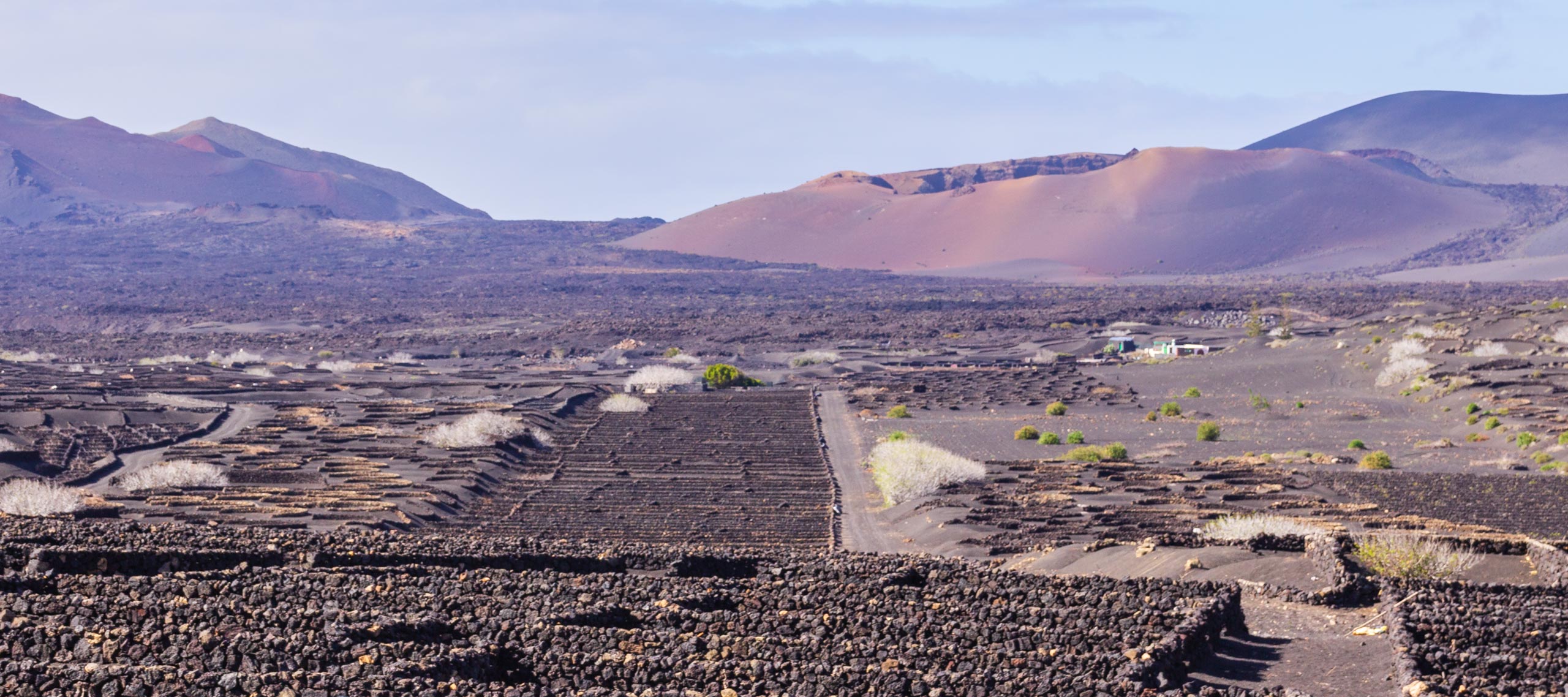 LanzarotePanoramaHillsMountainsAndVolcanoes 017