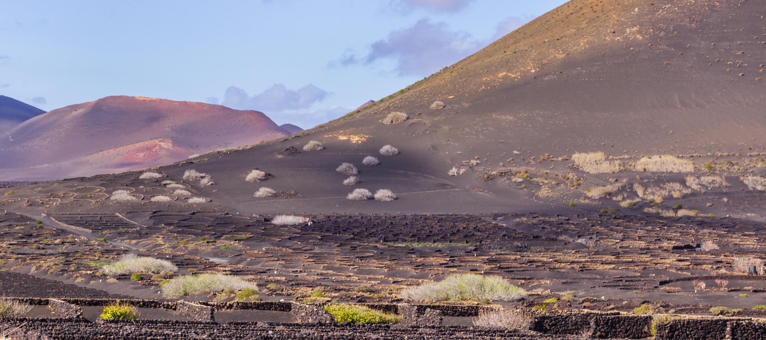 LanzarotePanoramaHillsMountainsAndVolcanoes 019