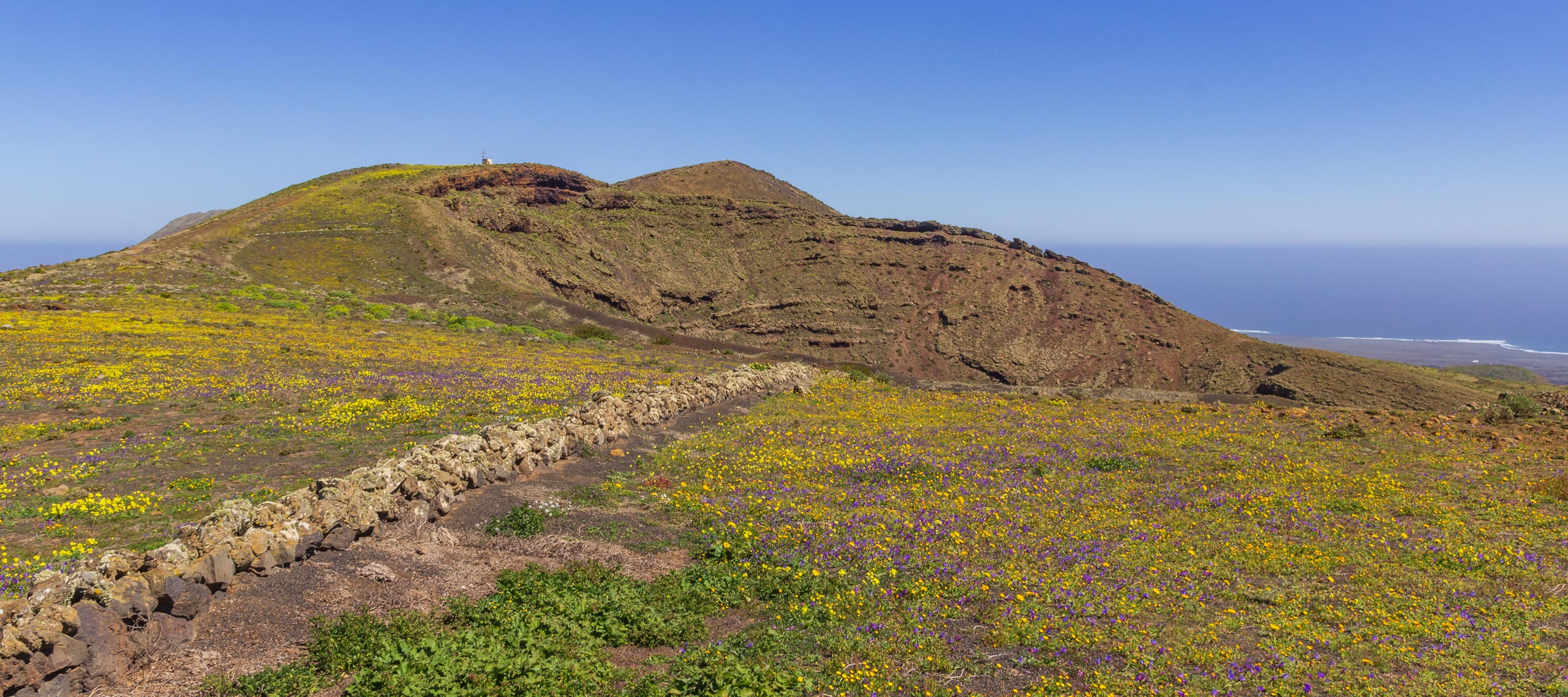 LanzarotePanoramaHillsMountainsAndVolcanoes 024