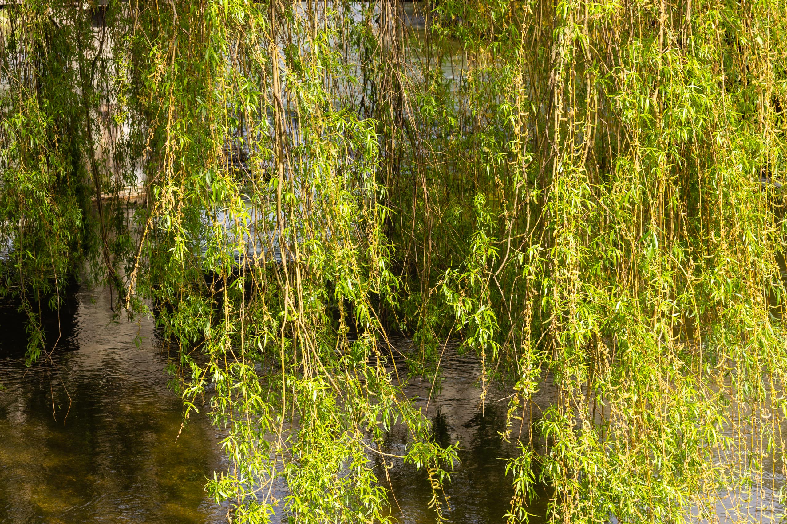 TAT Fürstenfeldbruck 003