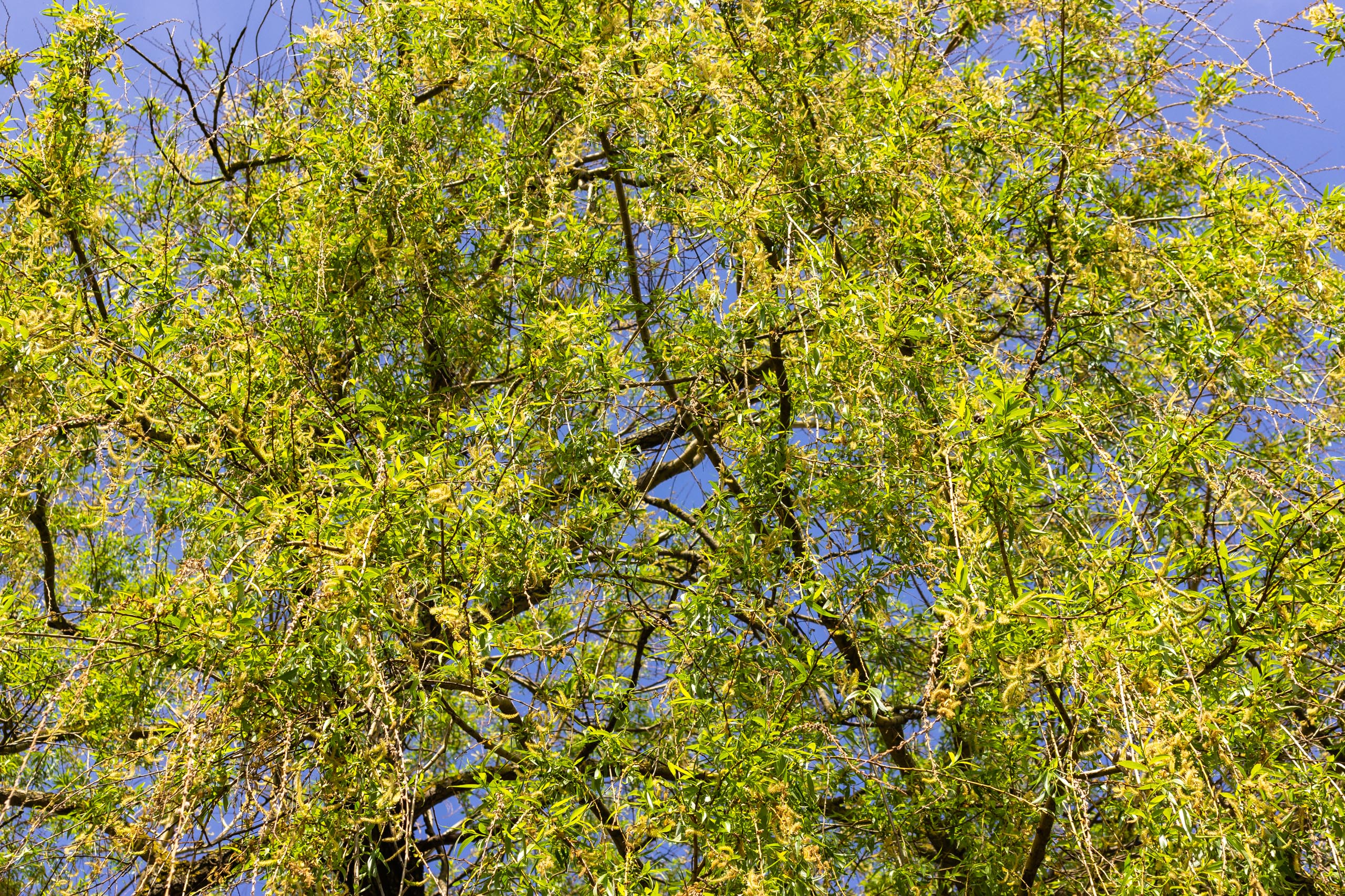 TAT Fürstenfeldbruck 004