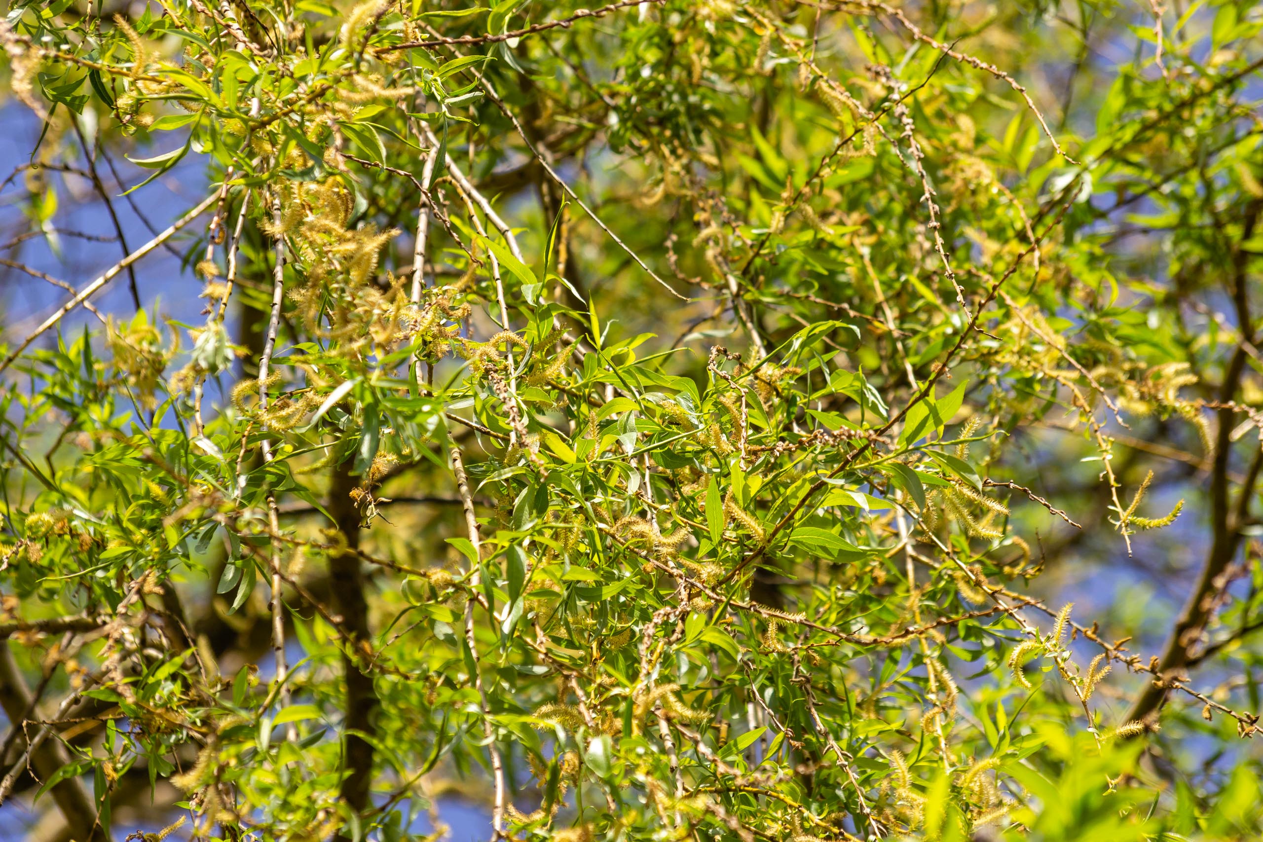 TAT Fürstenfeldbruck 005