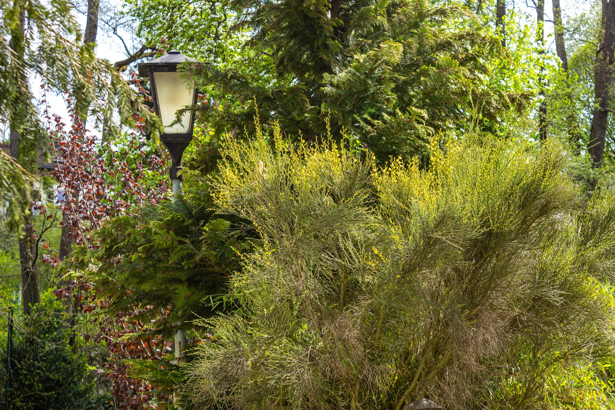 TAT Fürstenfeldbruck 013