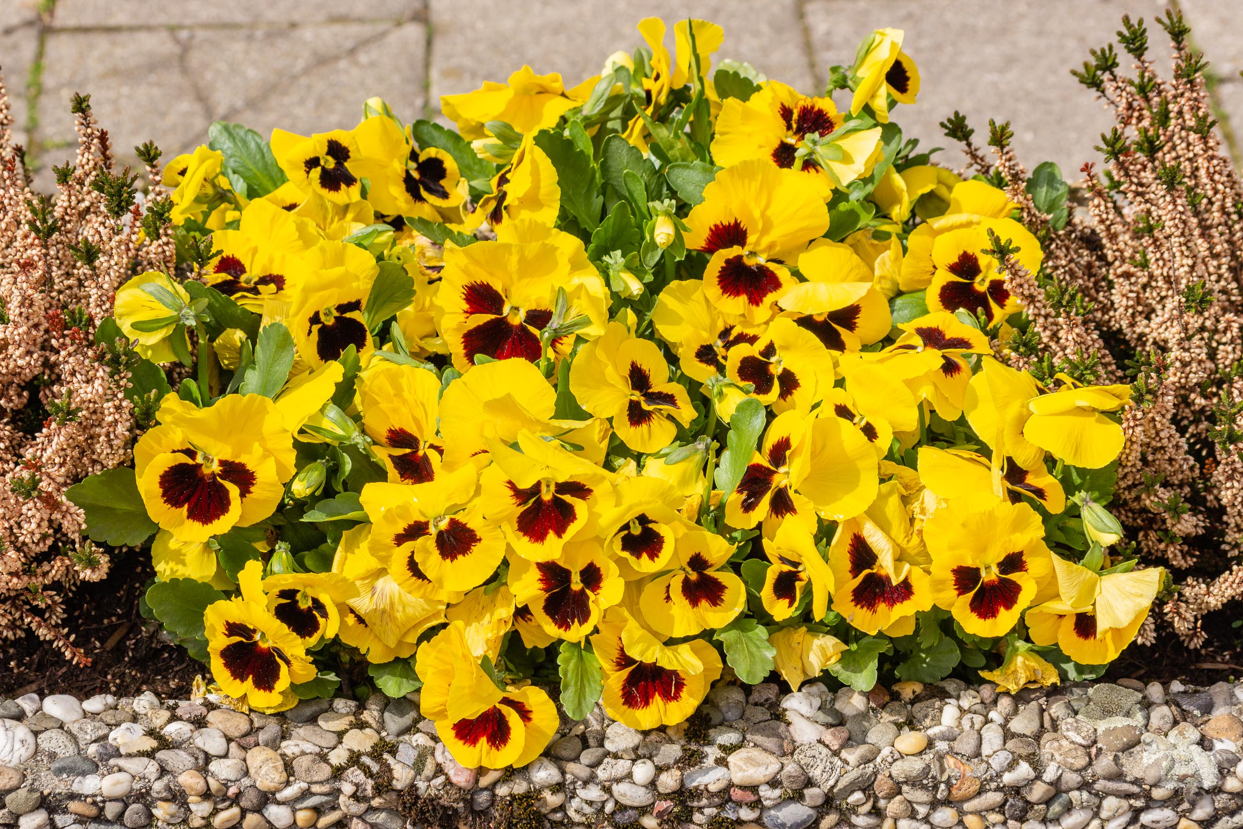 TAT Fürstenfeldbruck 017