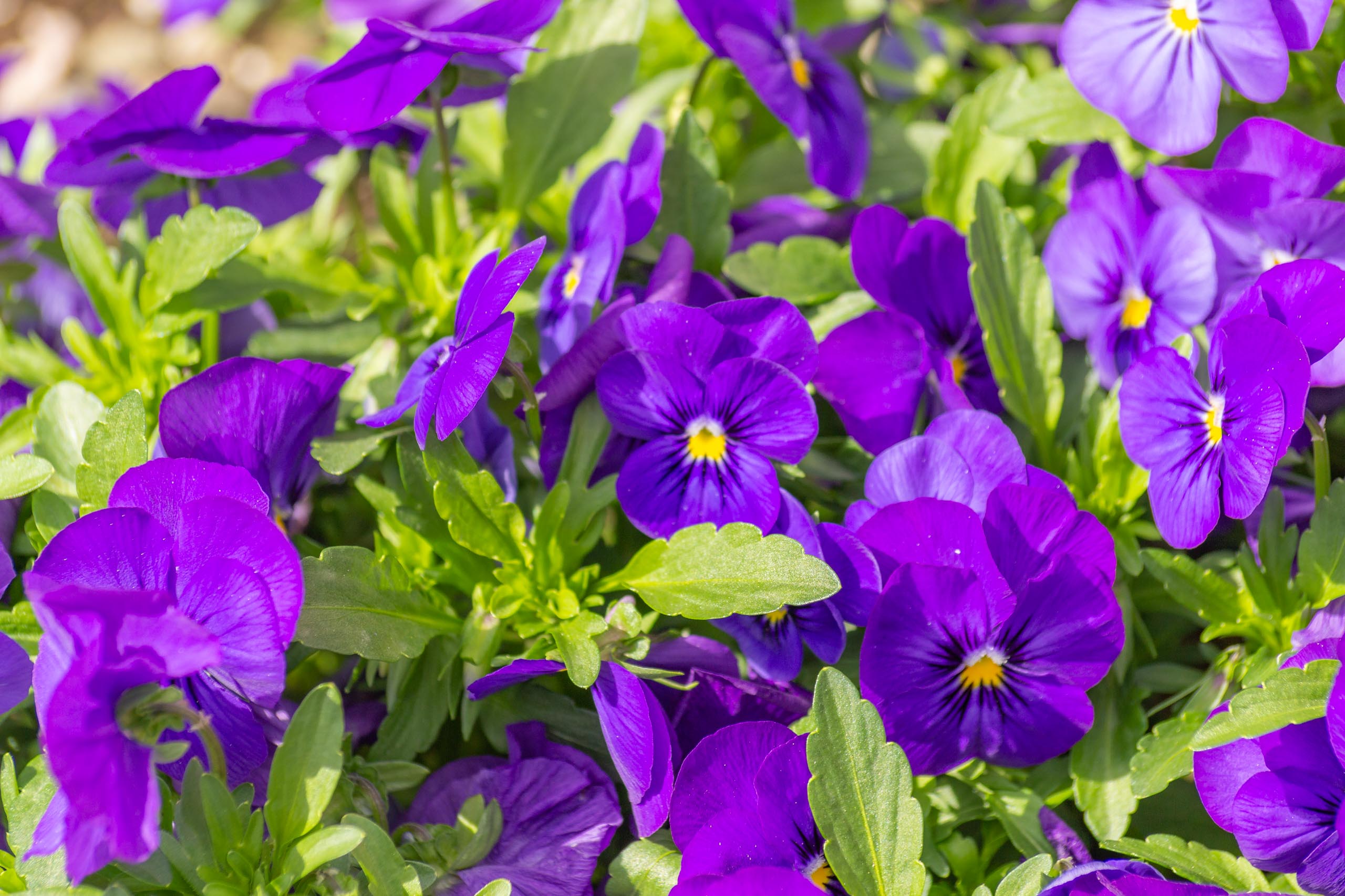 TAT Fürstenfeldbruck 020