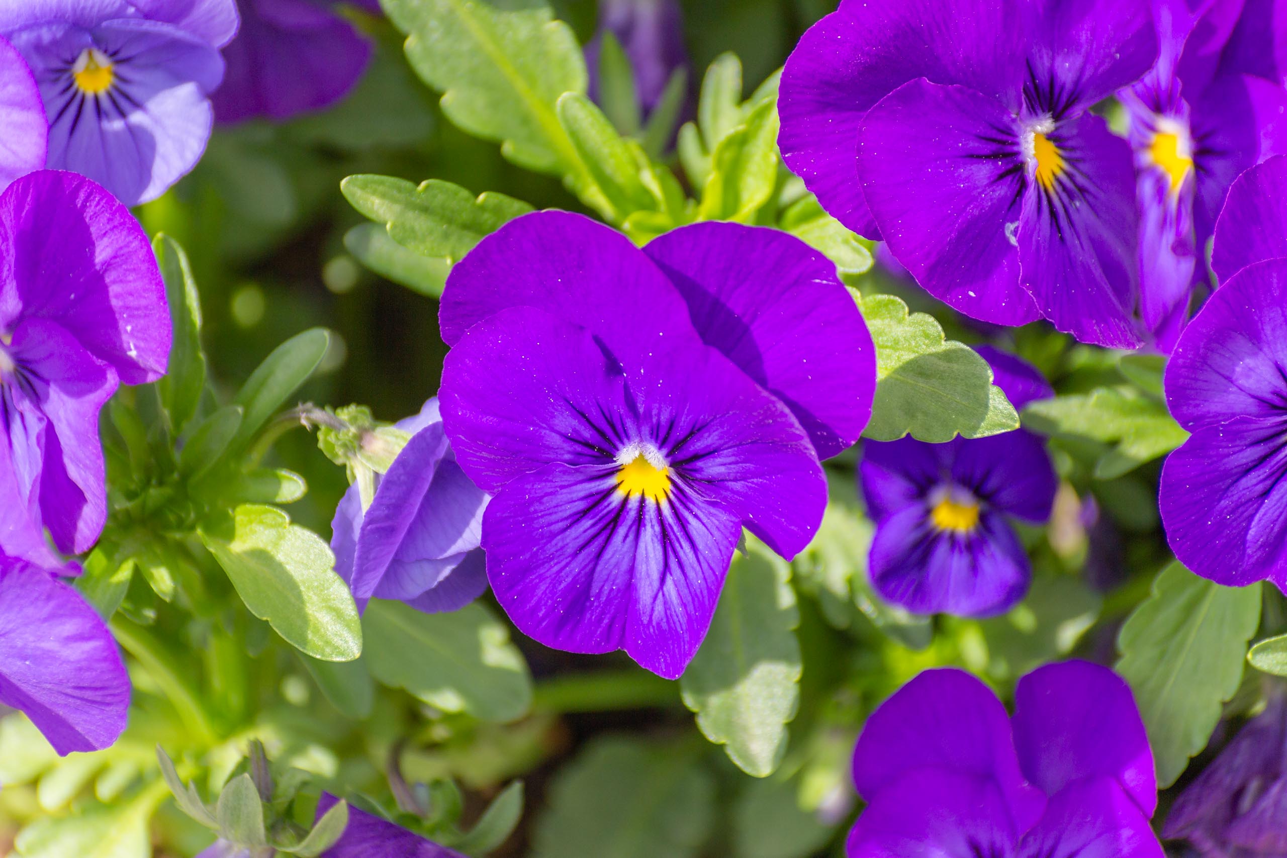 TAT Fürstenfeldbruck 021