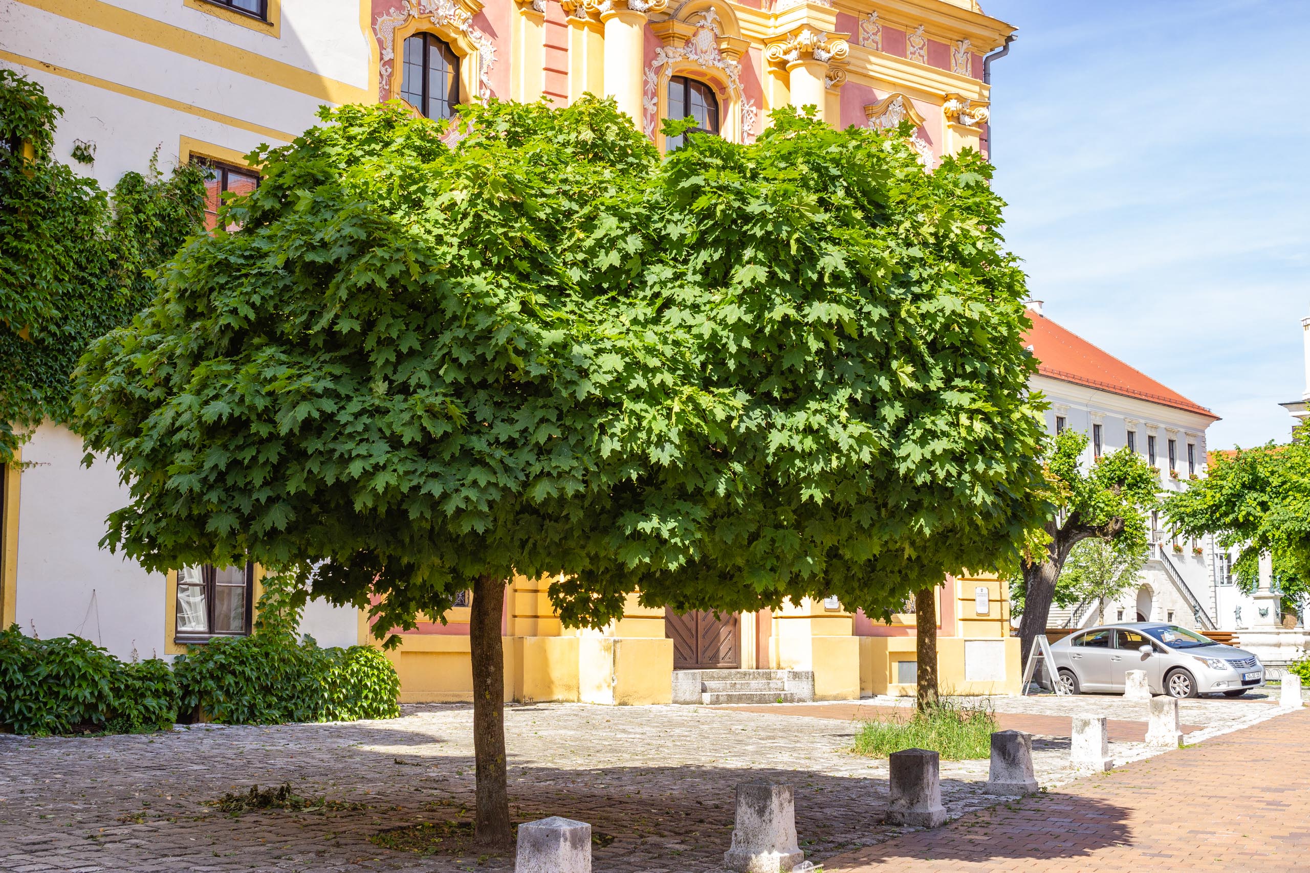 TAT Neuburg Donau 009