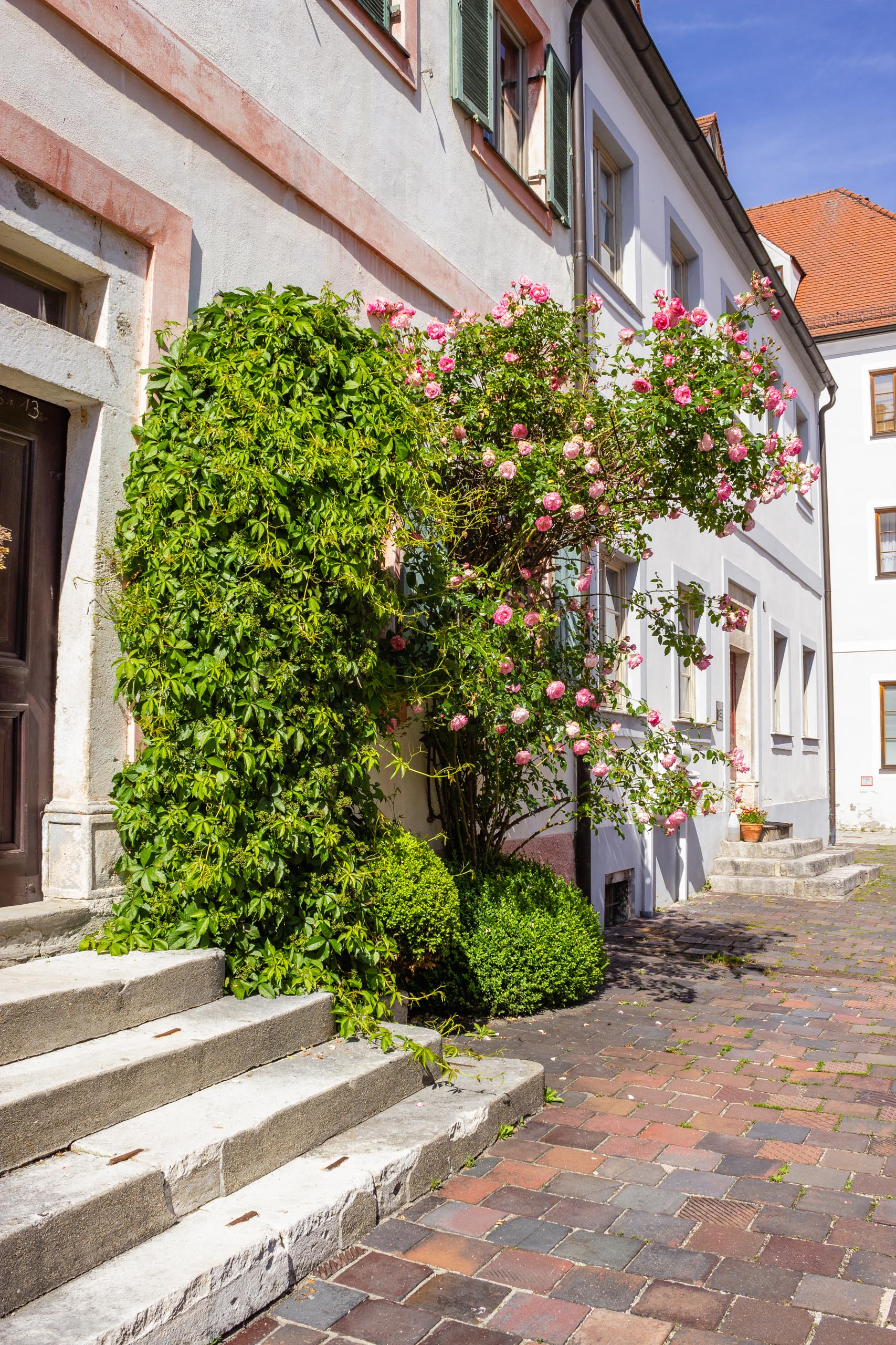 TAT Neuburg Donnau 020