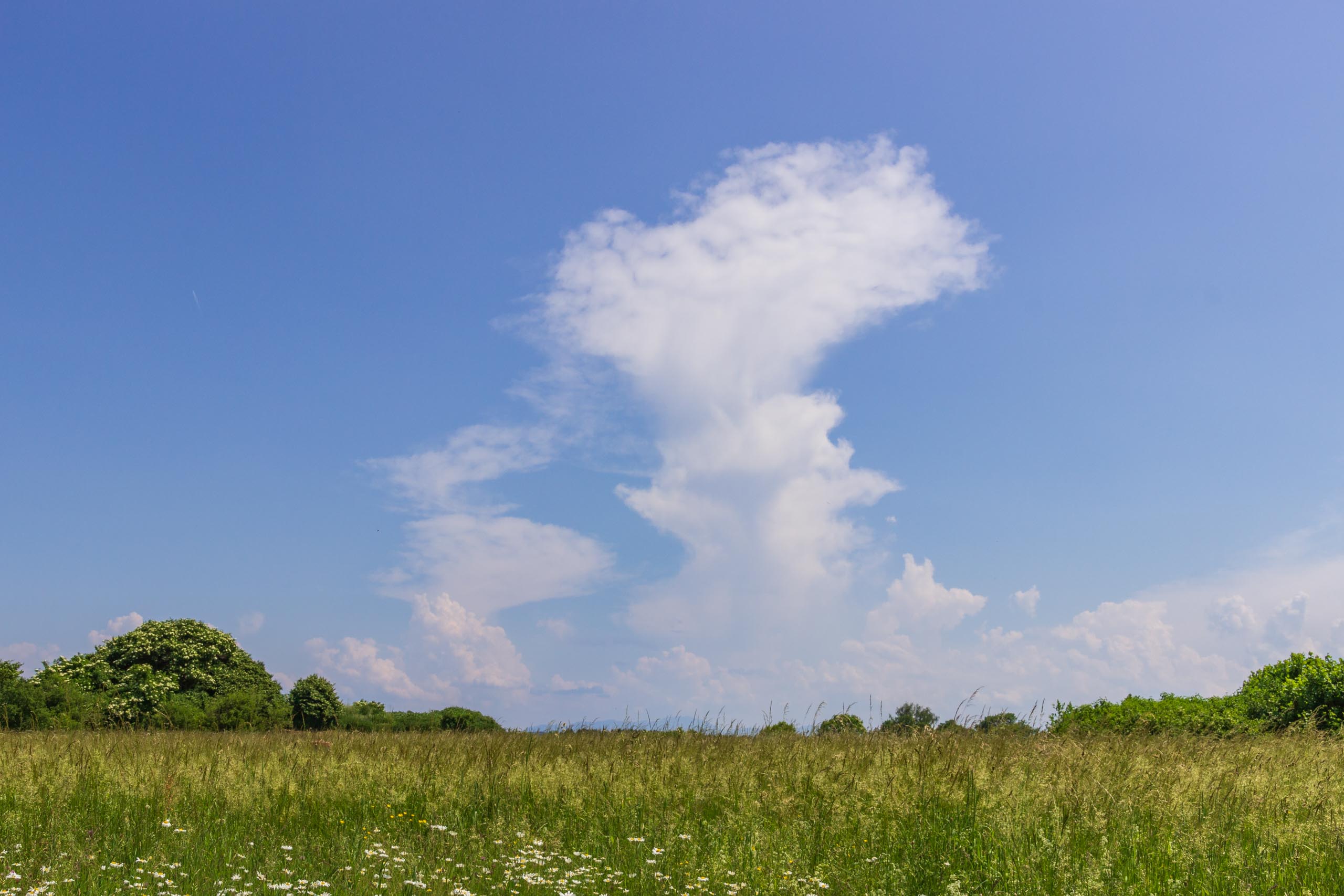 TAT Diesen and surroundings 007