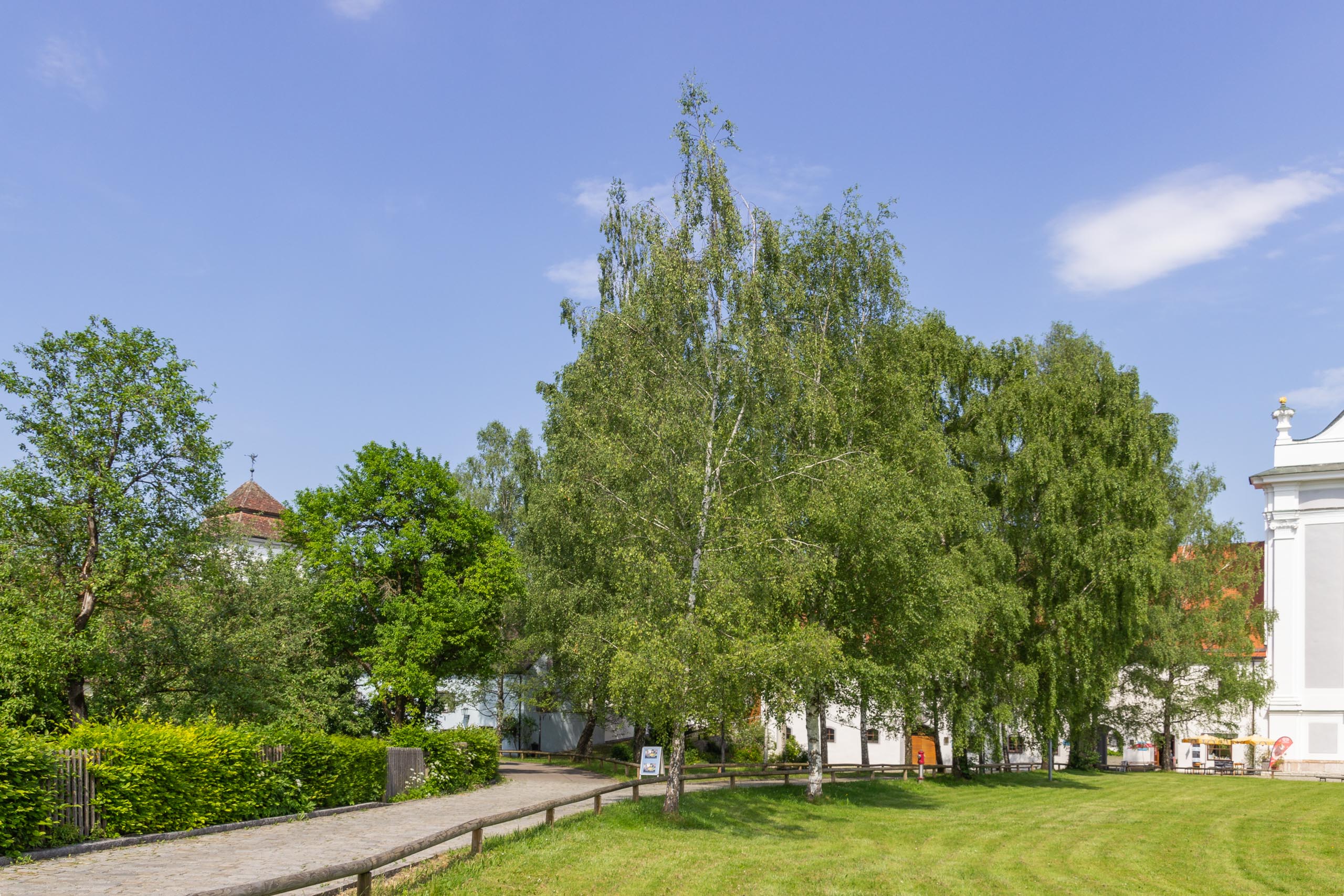 TAT Diesen and surroundings 009