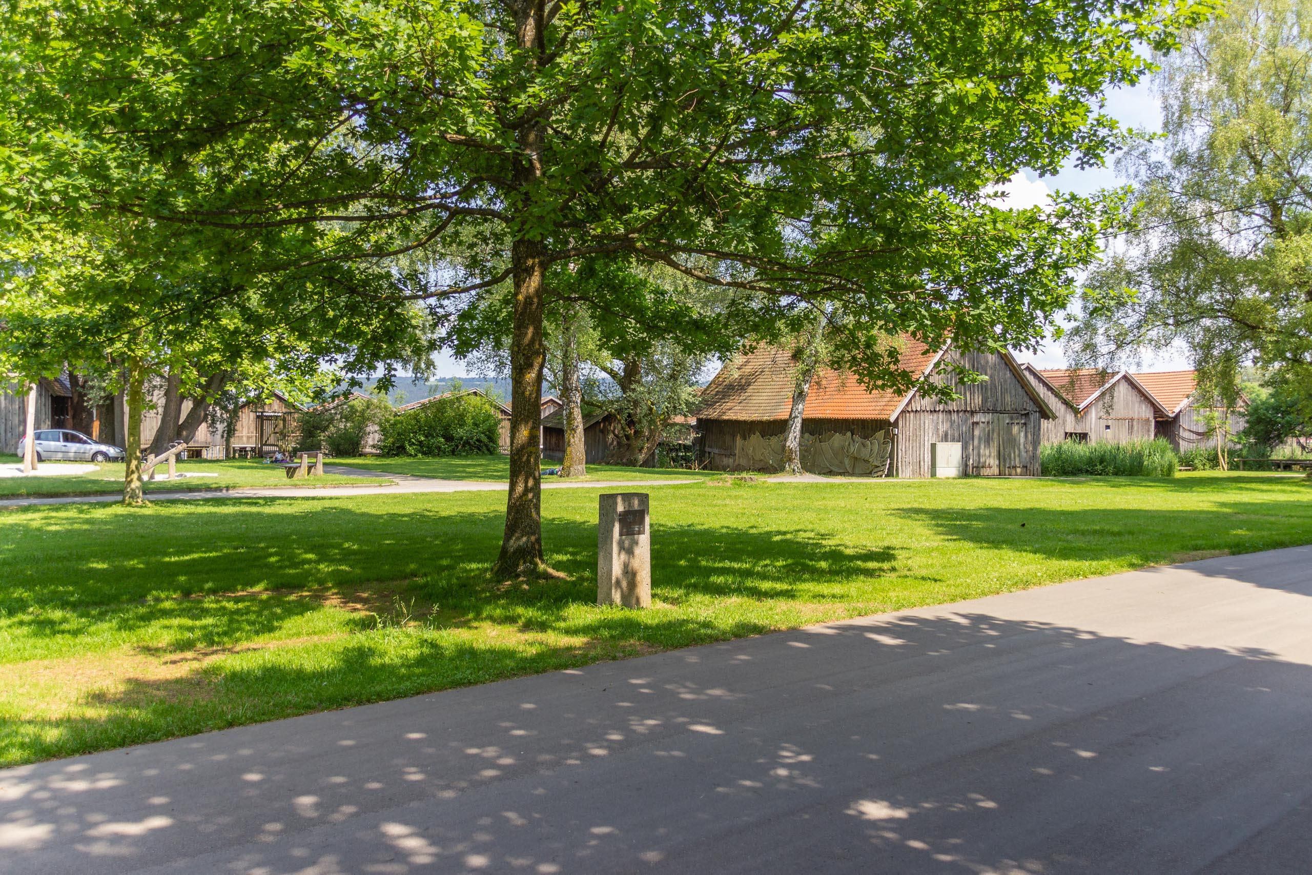 TAT Diesen and surroundings 013