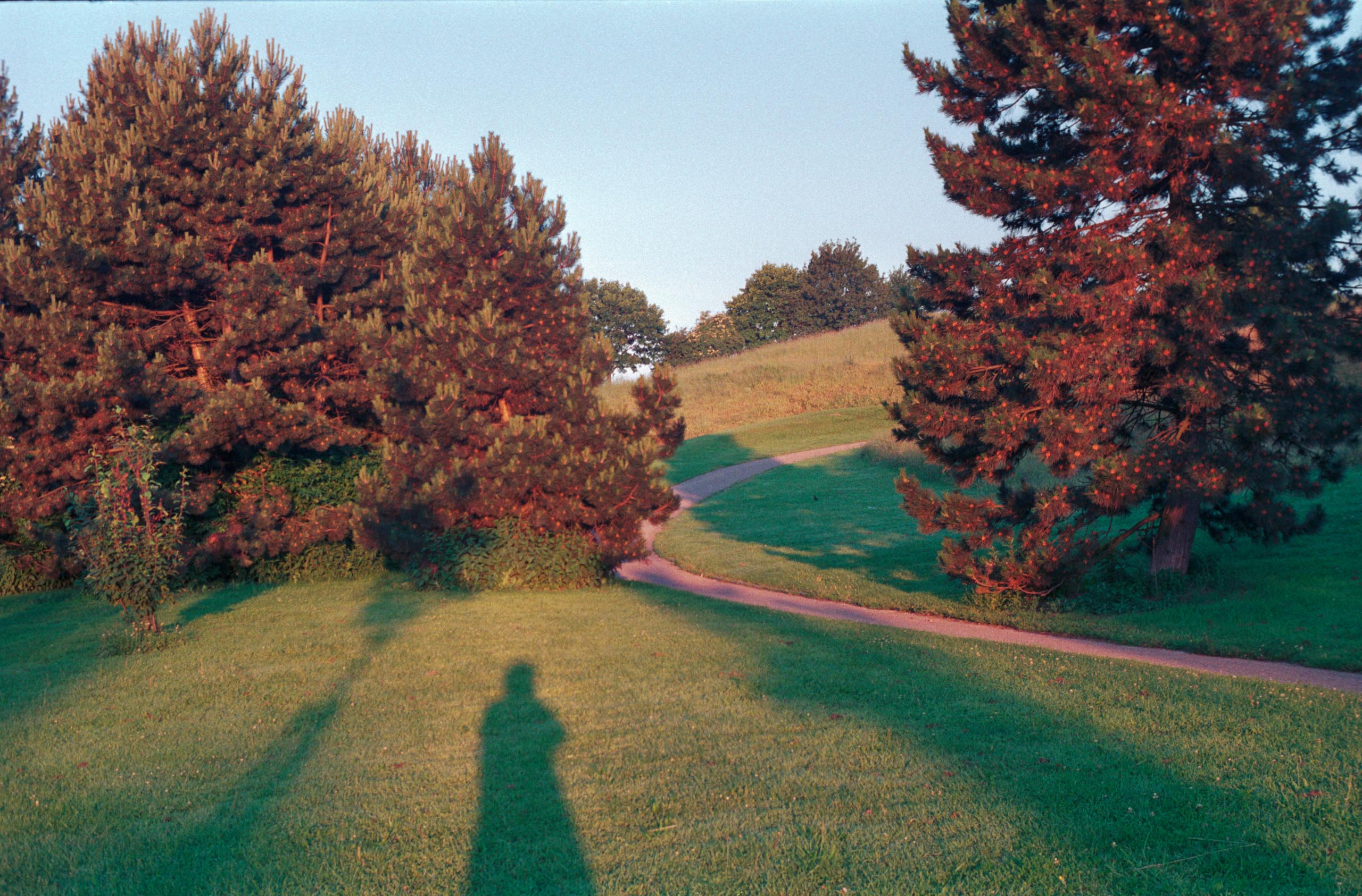 35mm Landscapes 010 1