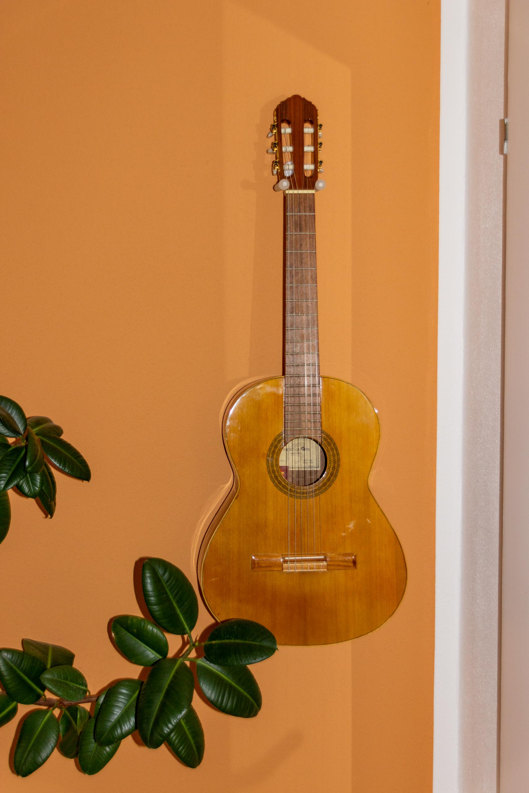 TAT guitars 010