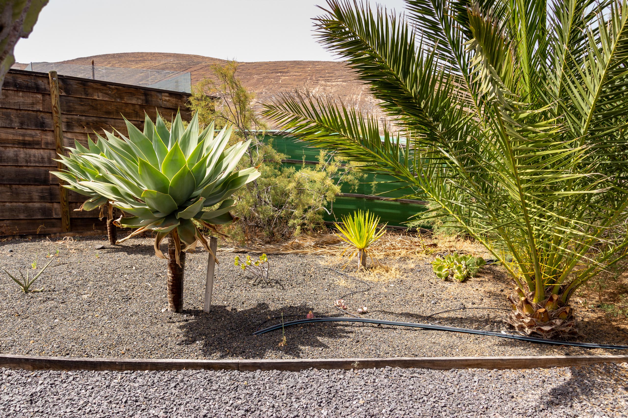 2021 05 Lanzarote TheGardenInTabayesco 020
