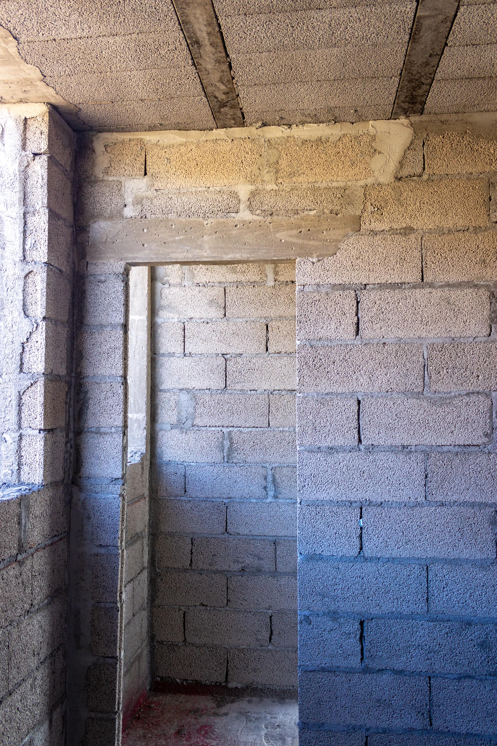 2021 11 LasBrenas 1 de noviembre la planta baja 021