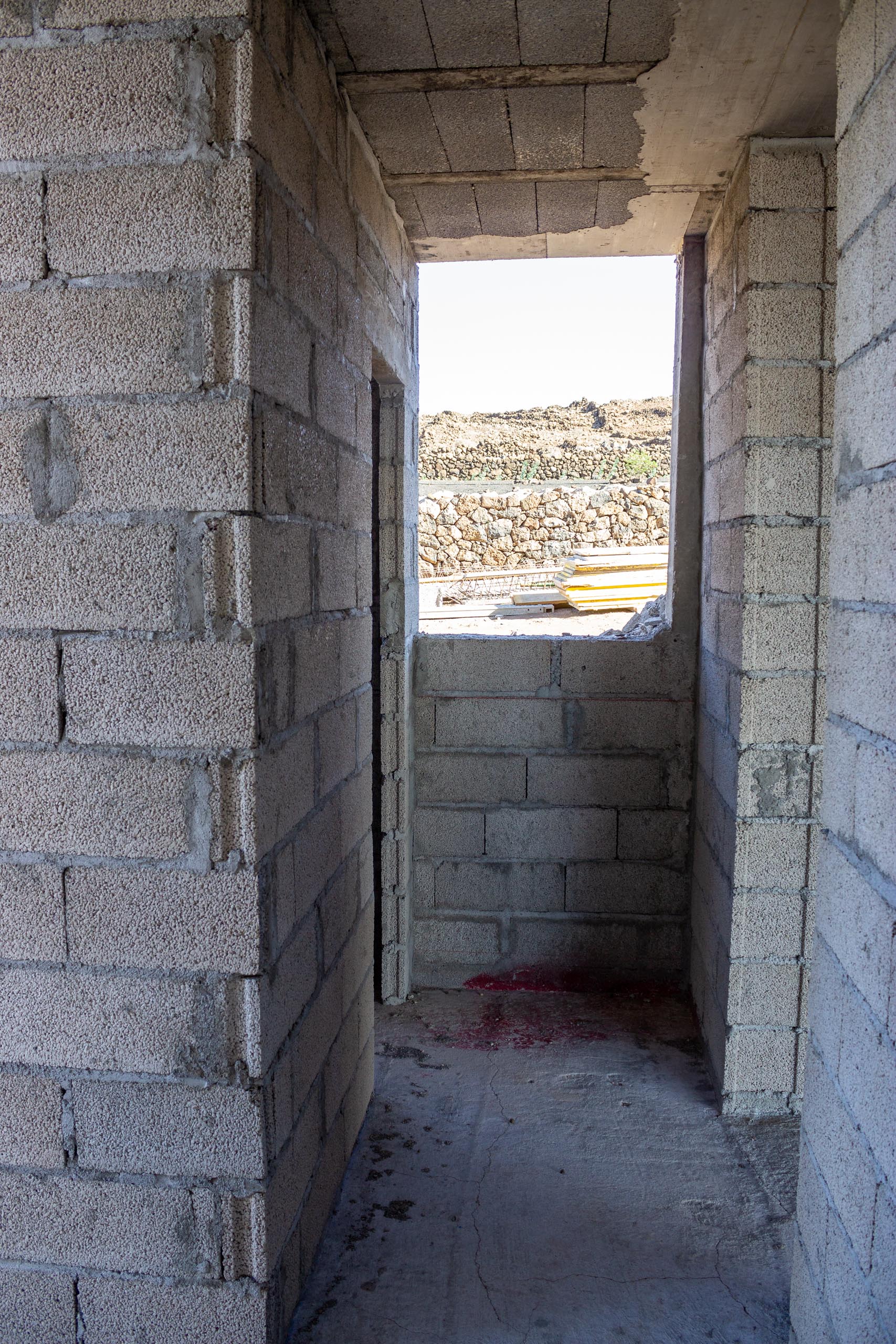 2021 11 LasBrenas 1 de noviembre la planta baja 022