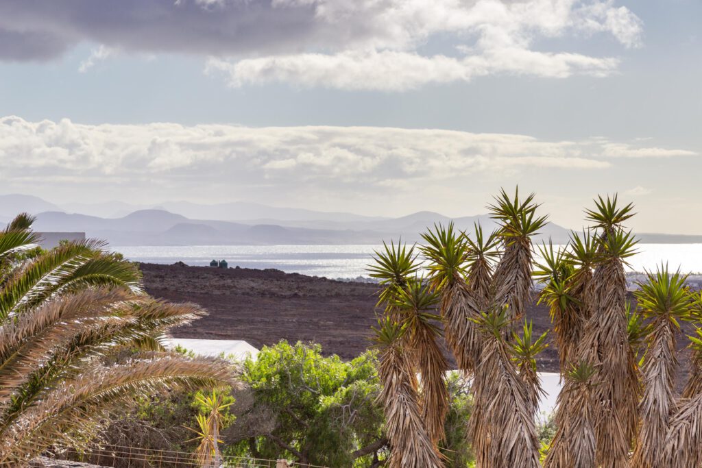 2021 12 LasBrenas December 1 panoramas 006