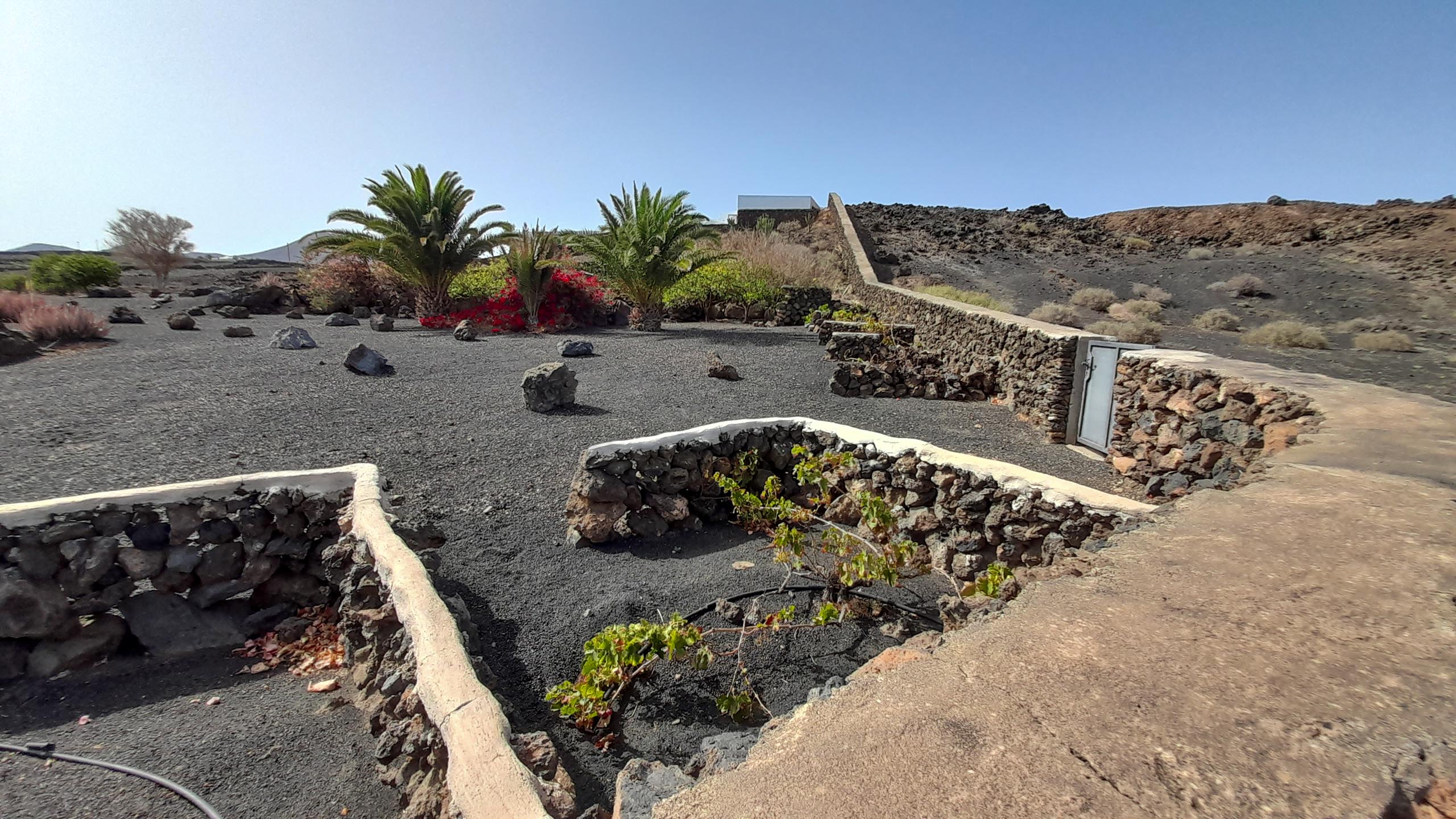 2022 06 Lanzarote Puerto del Carmen paseo acantilado 006