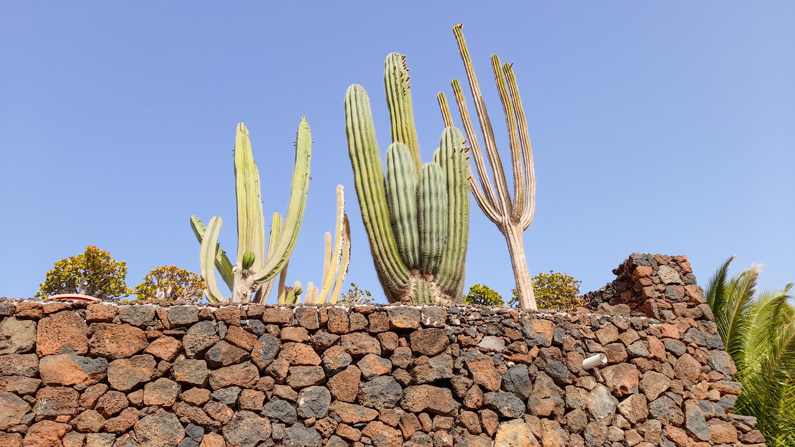 2022 06 Lanzarote Puerto del Carmen paseo acantilado 021