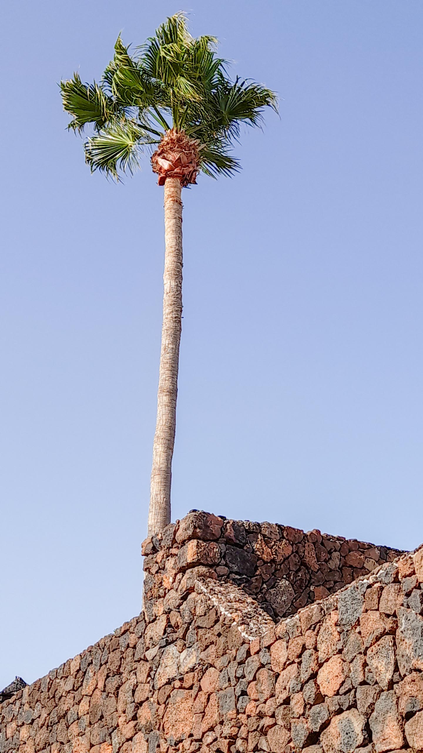 2022 06 Lanzarote Puerto del Carmen paseo acantilado 023