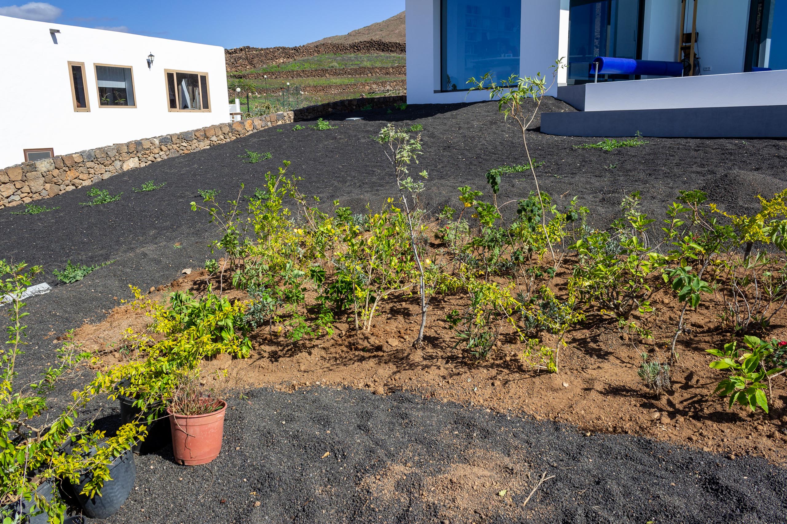 2022 11 LasBrenas 1. November der Garten 008