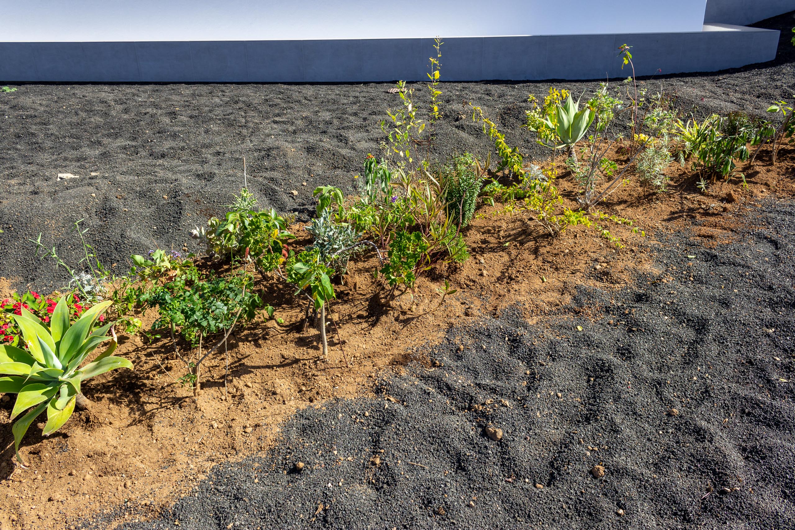 2022 11 LasBrenas 1. November der Garten 011