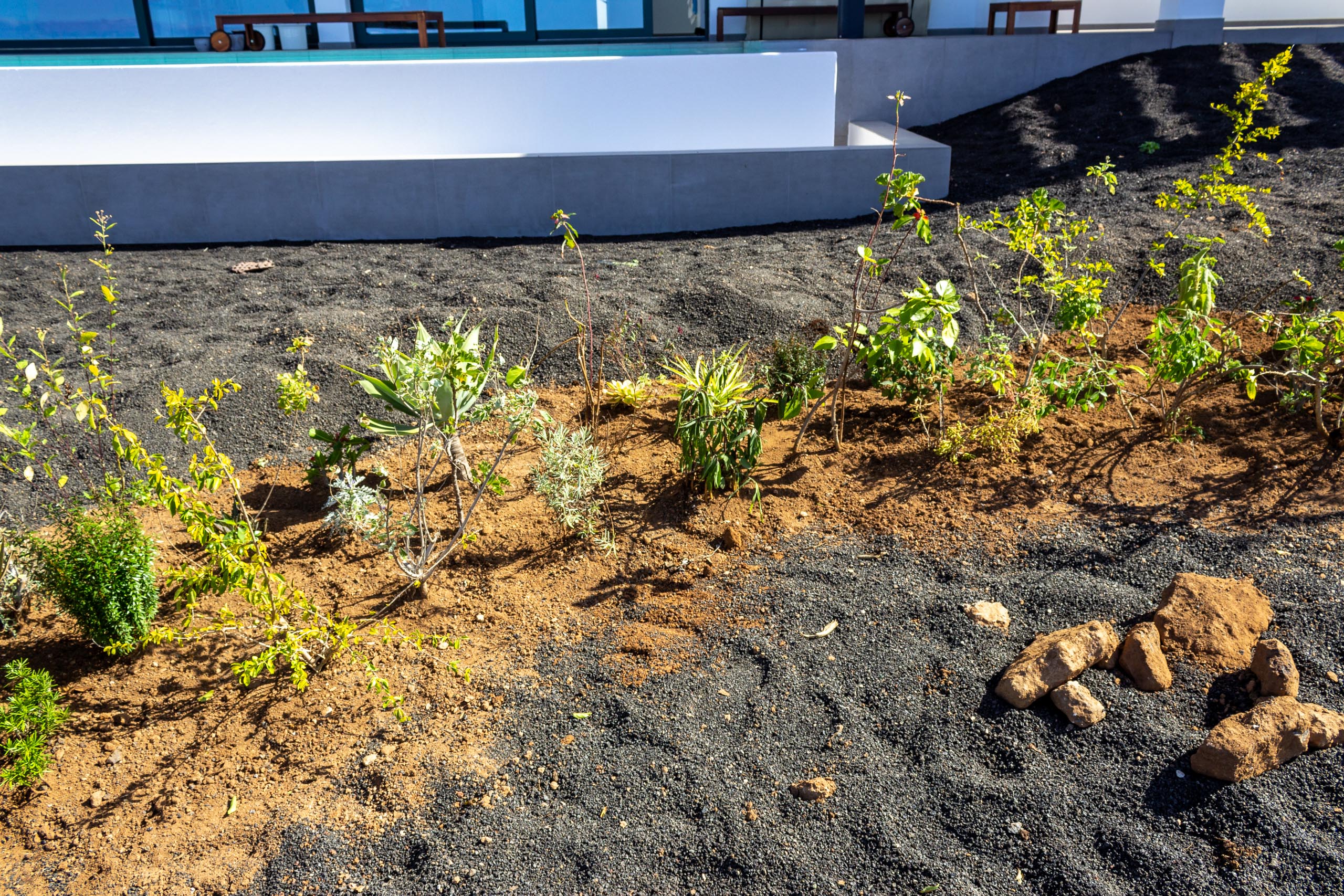 2022 11 LasBrenas 1. November der Garten 012
