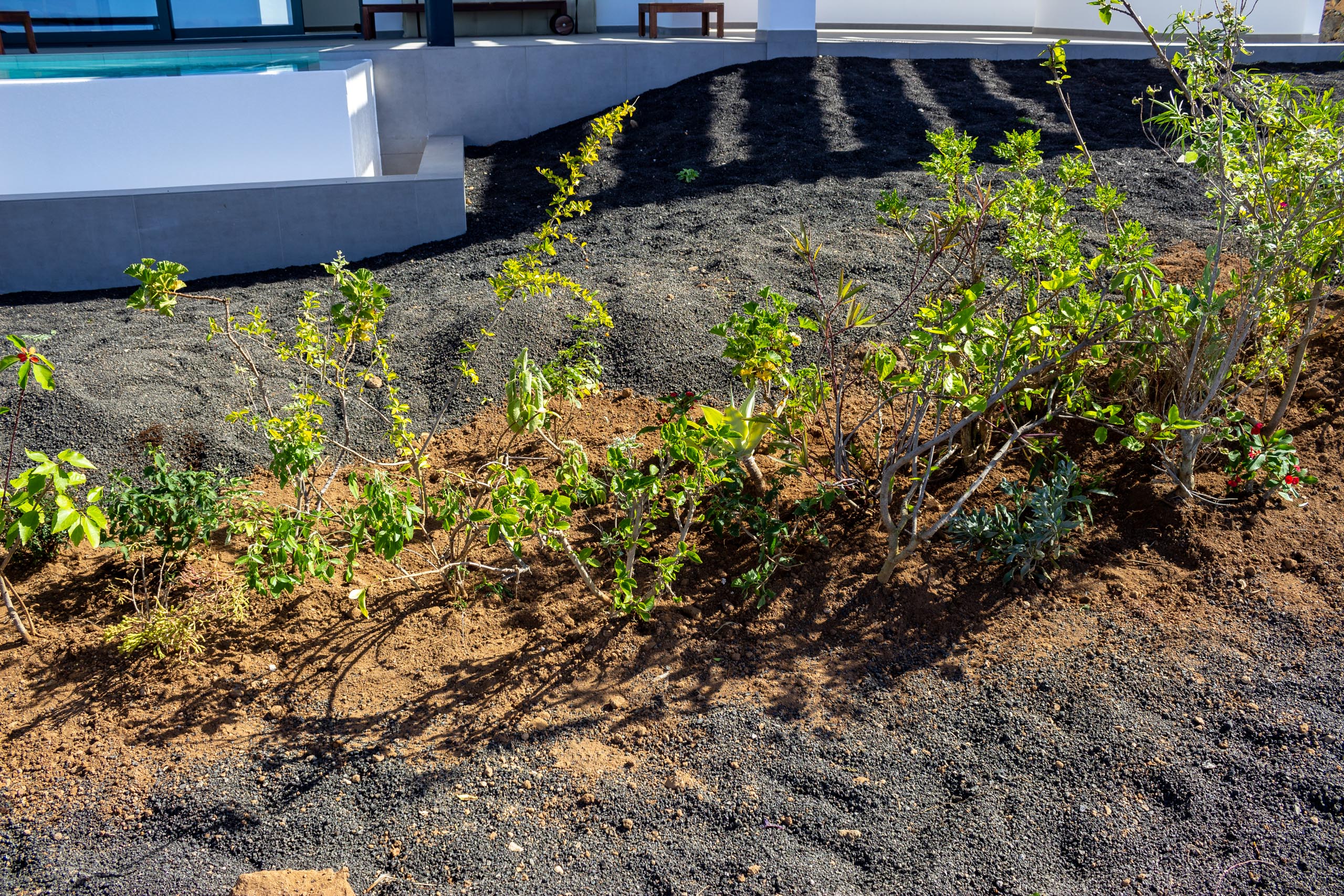2022 11 LasBrenas 1. November der Garten 013