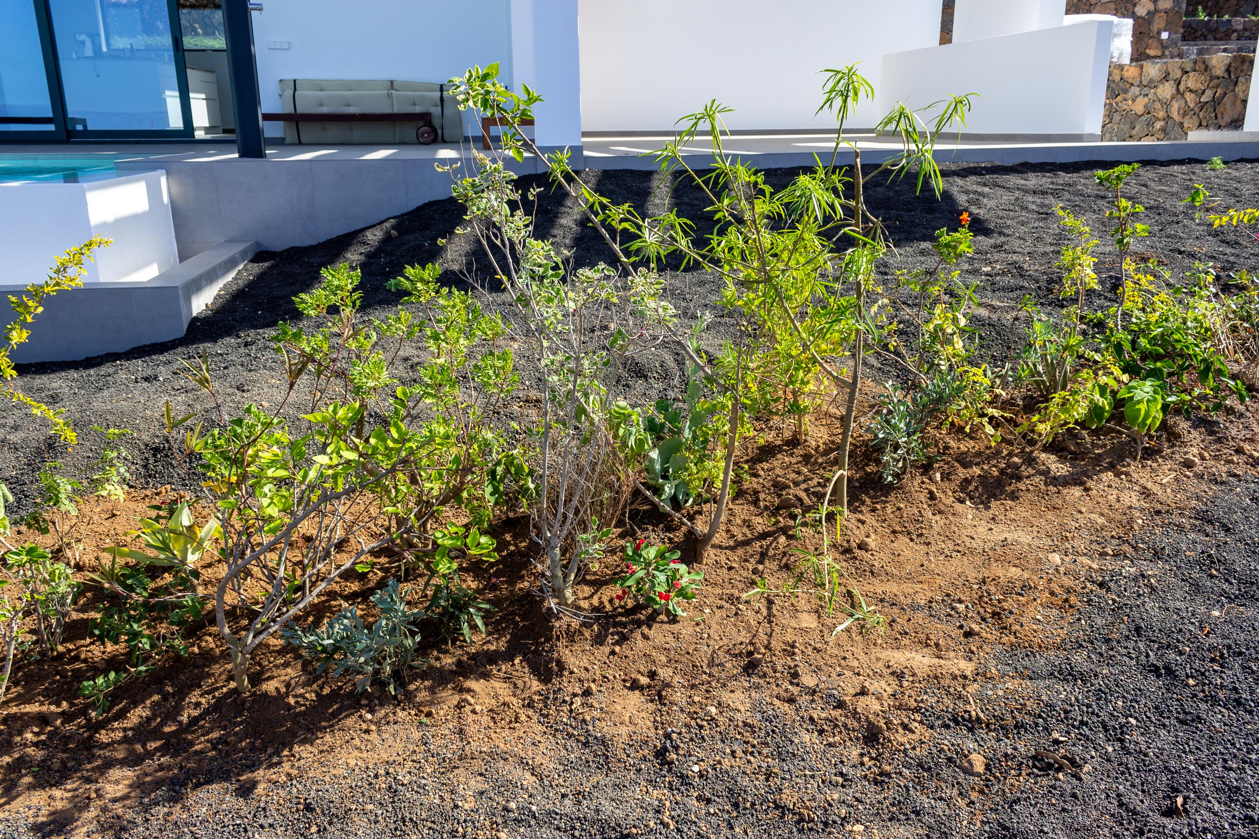 2022 11 LasBrenas 1. November der Garten 014